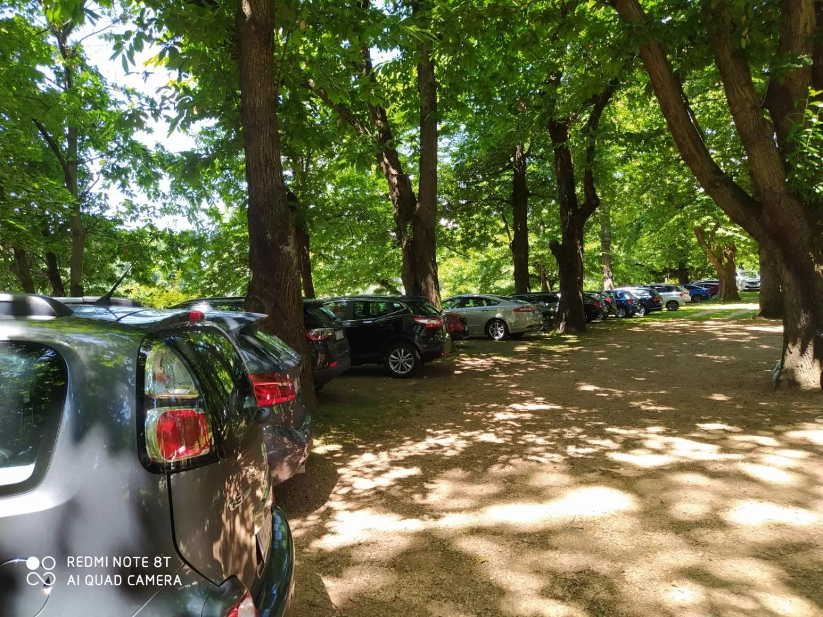 Garden in "La Selvetta" bed and breakfast