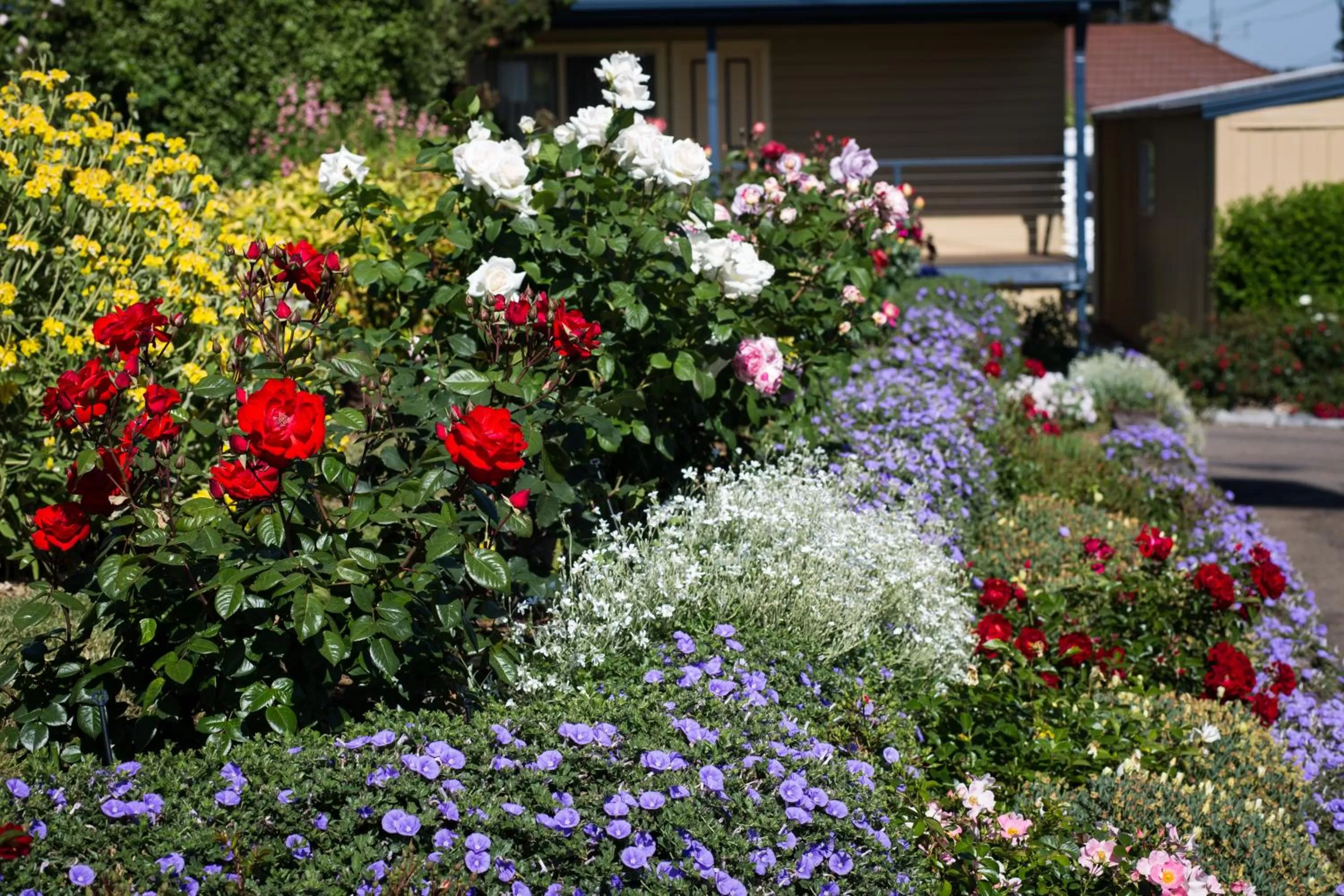 Garden in Willows Motel