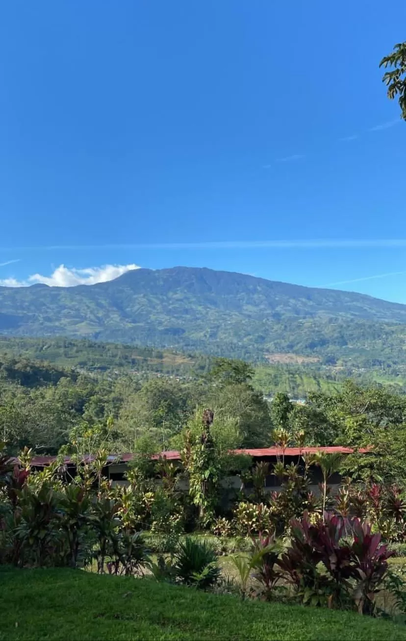 Natural landscape in Hotel Green Mountain turrialba