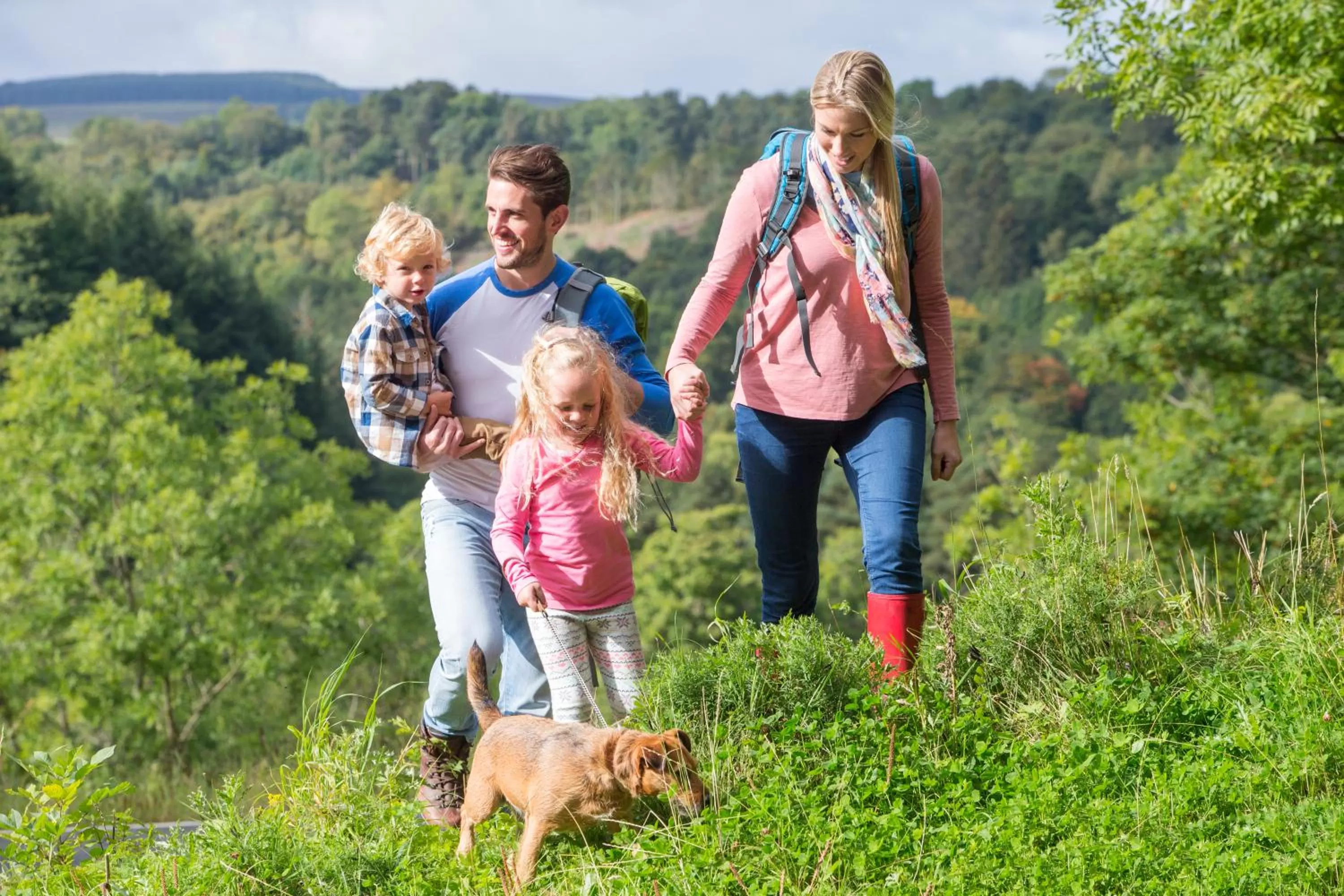 Spring in Hotel Restaurant Les Brases