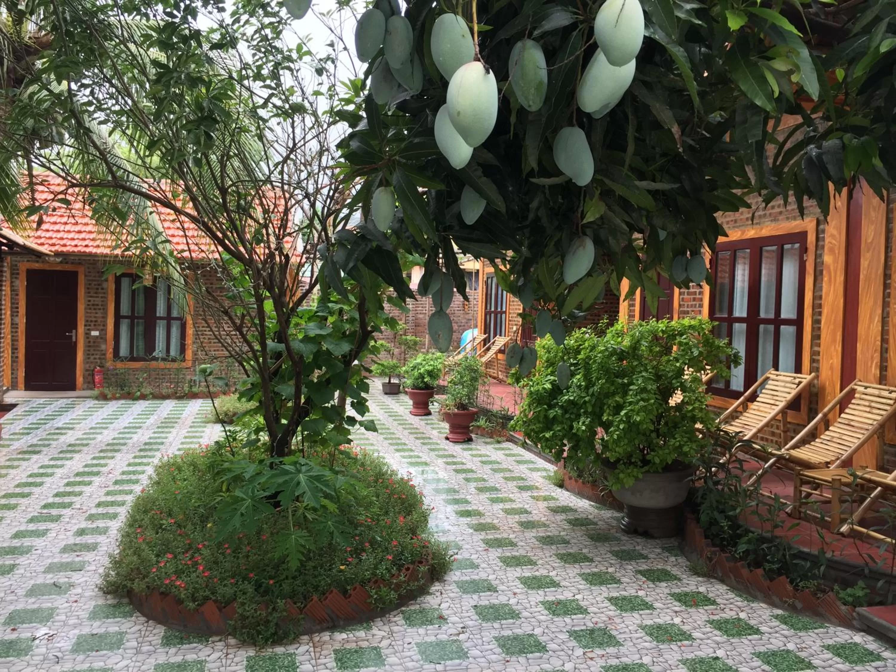Patio in Tam Coc Vinh Thinh Homestay