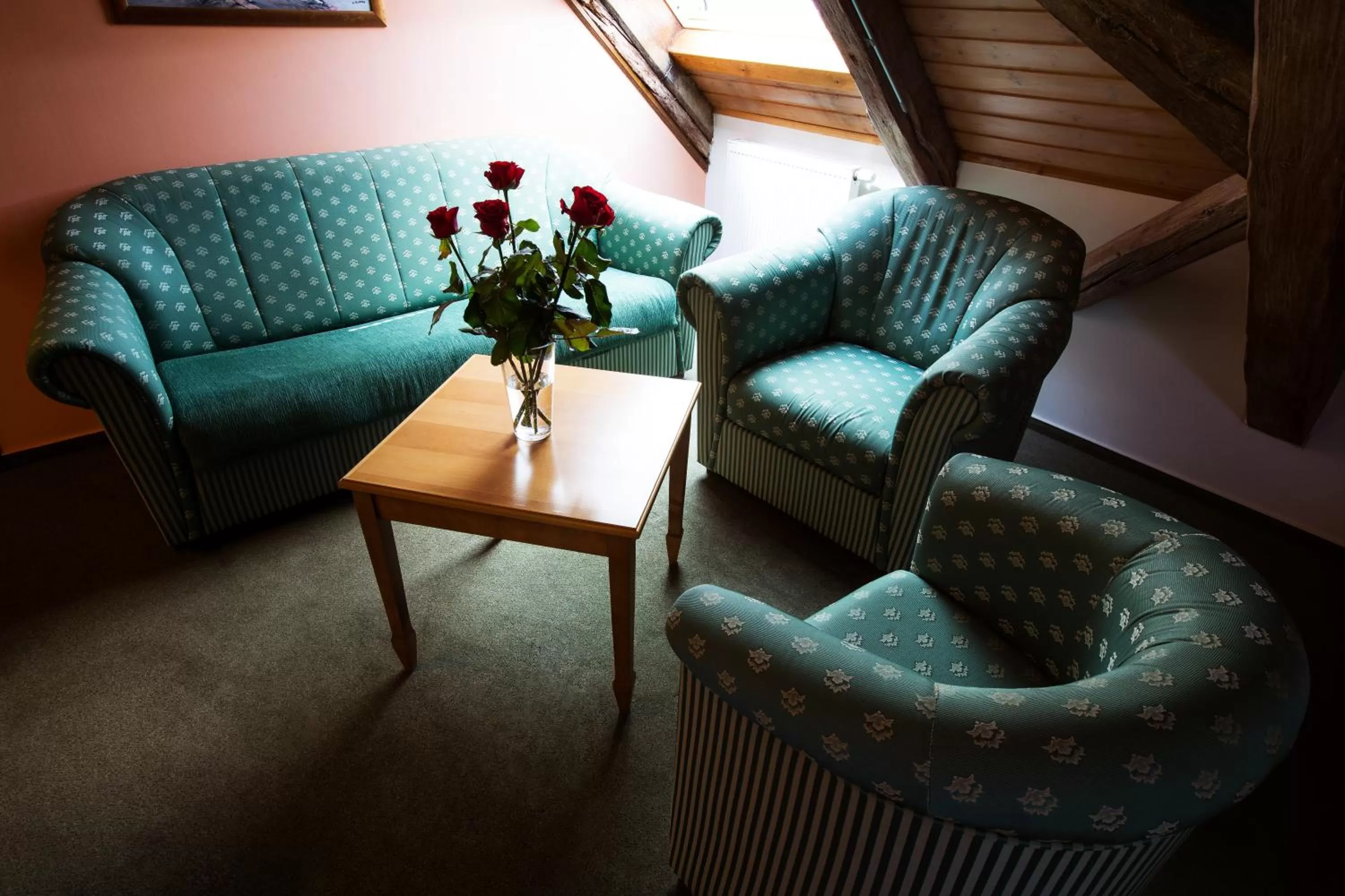 Double or Twin Room - single occupancy in Hotel U Lípy