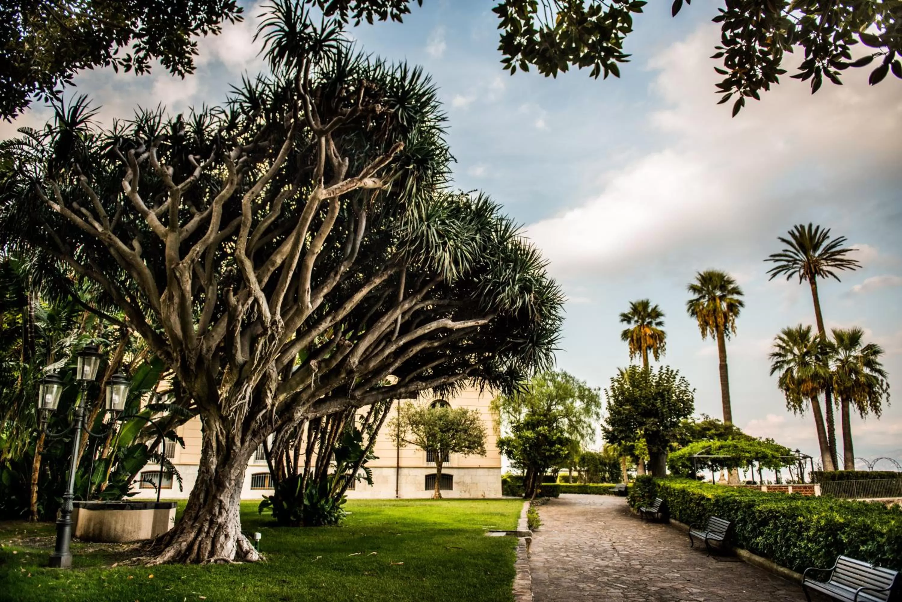 Garden in Villa Pulejo