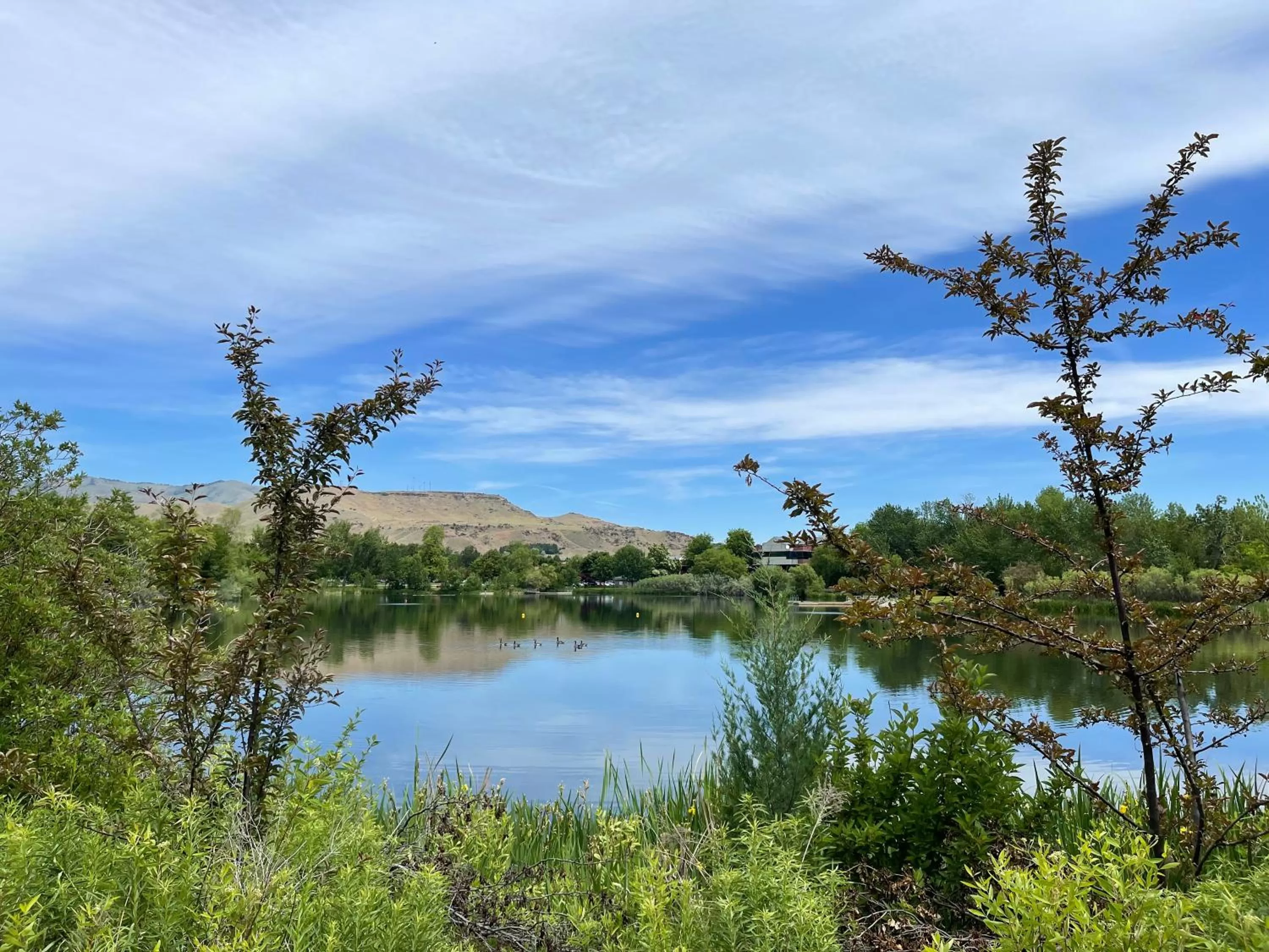 Holiday Inn Express Boise Downtown by IHG