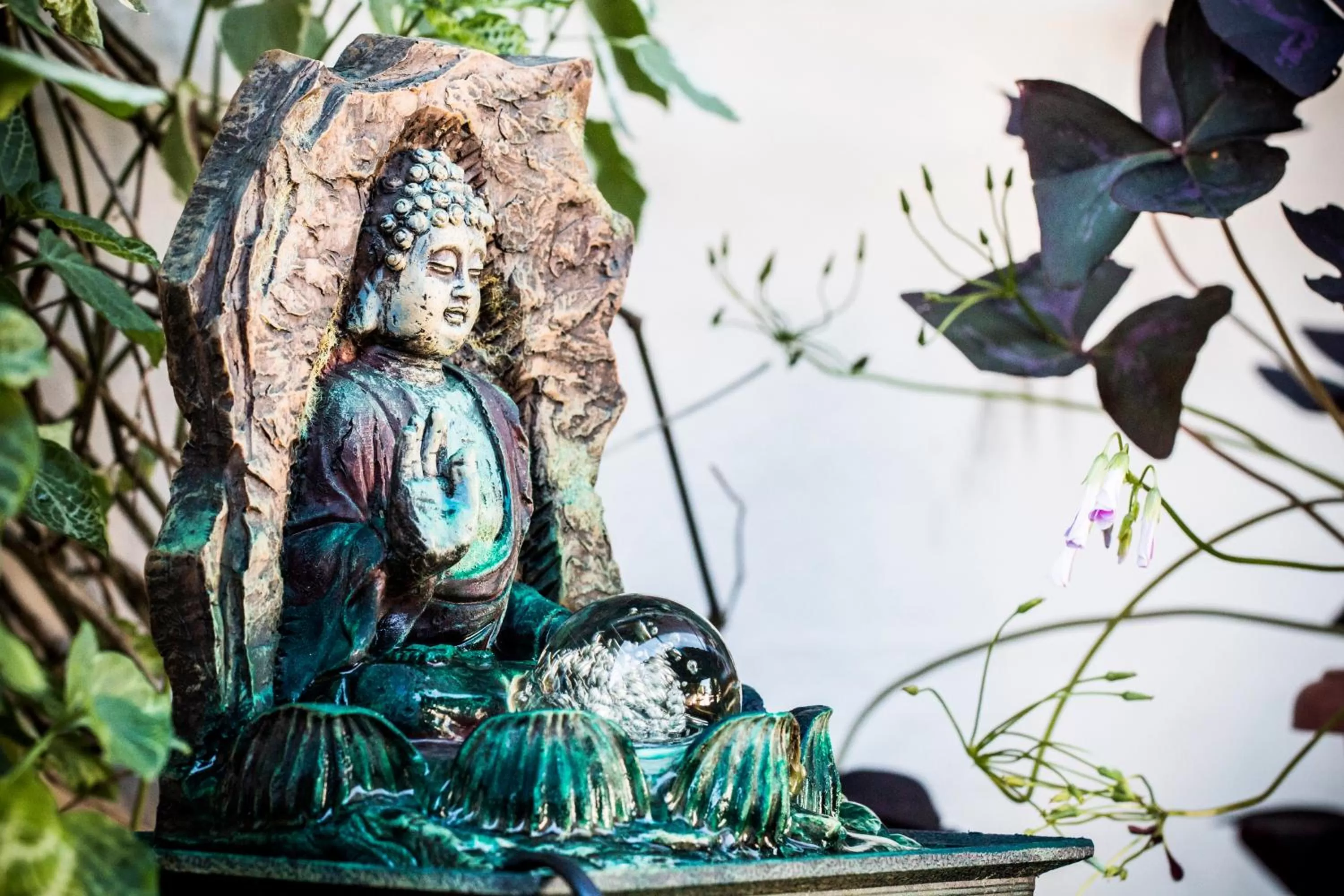 Garden in Pousada Flor Dália