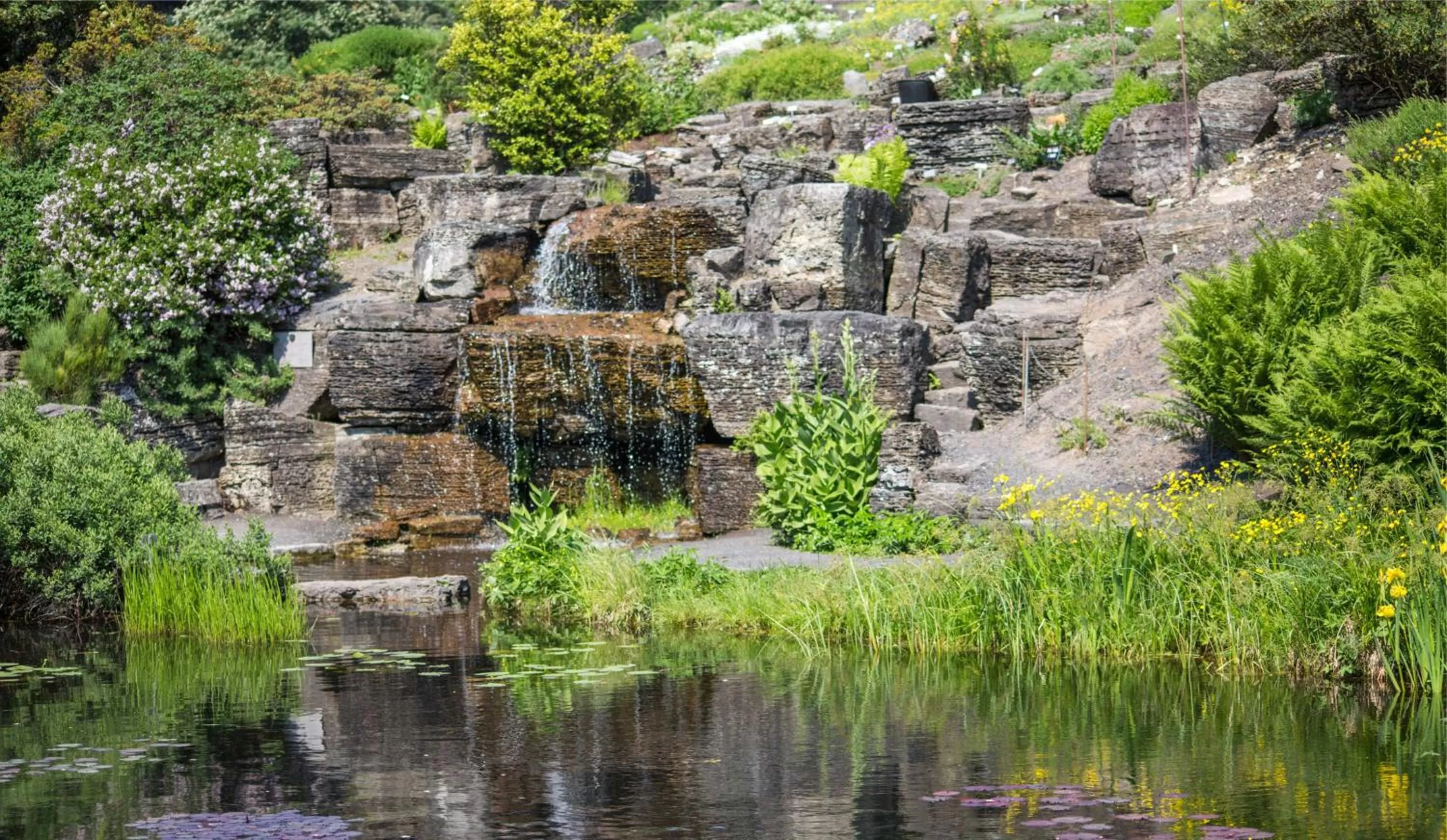 Natural landscape in Central City Apartments