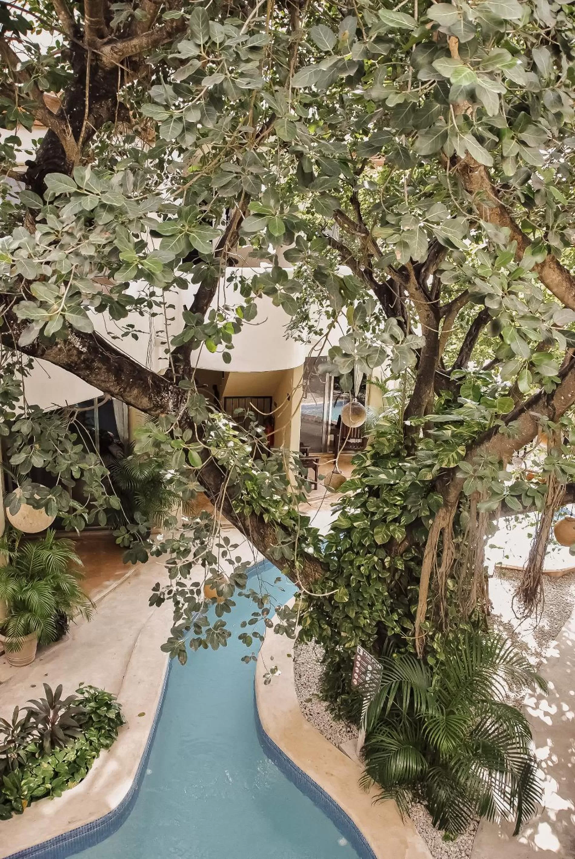 Swimming pool in Boutique Hotel Posada 06 Tulum