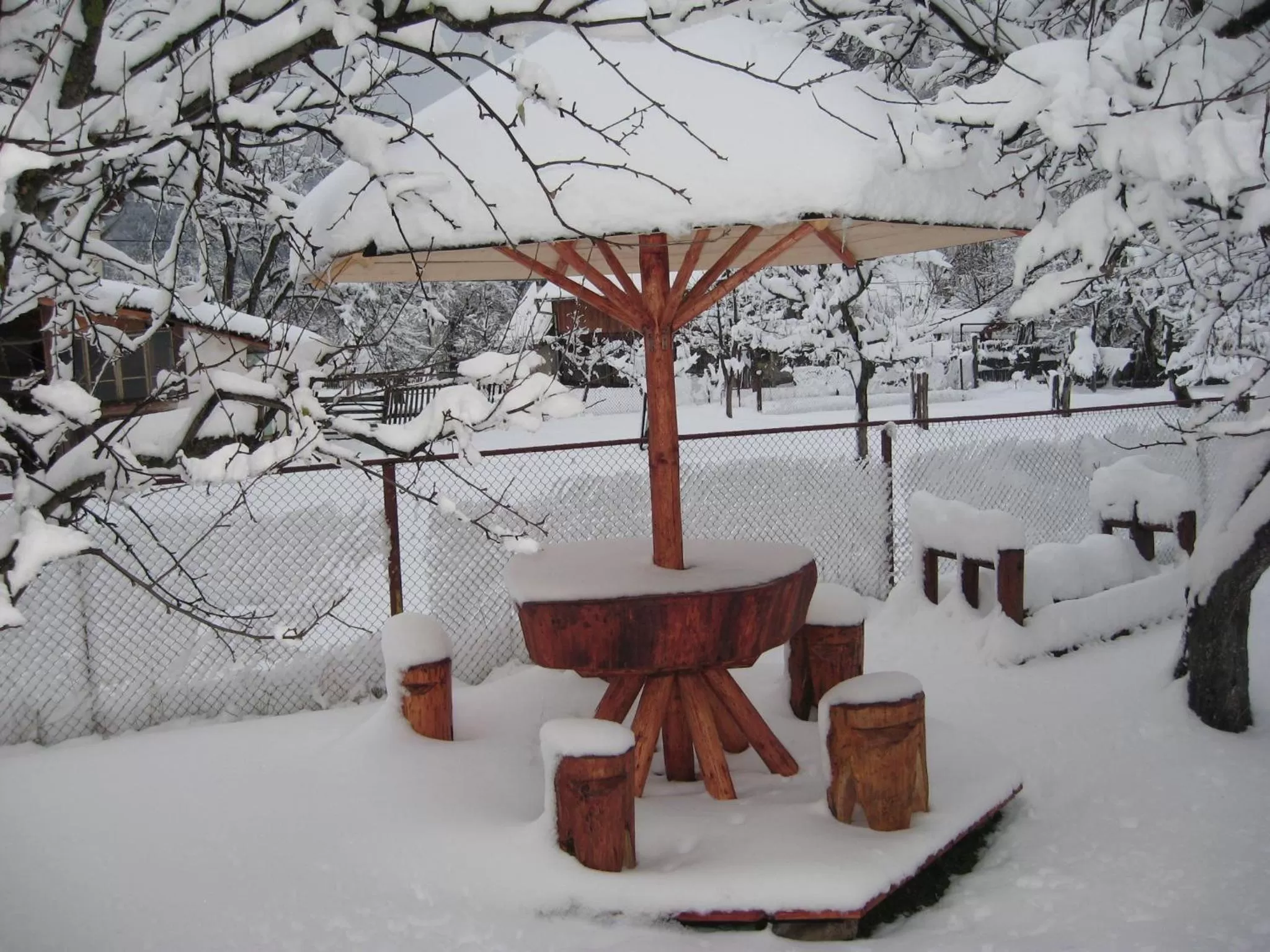 Garden in Pensiunea Luminita