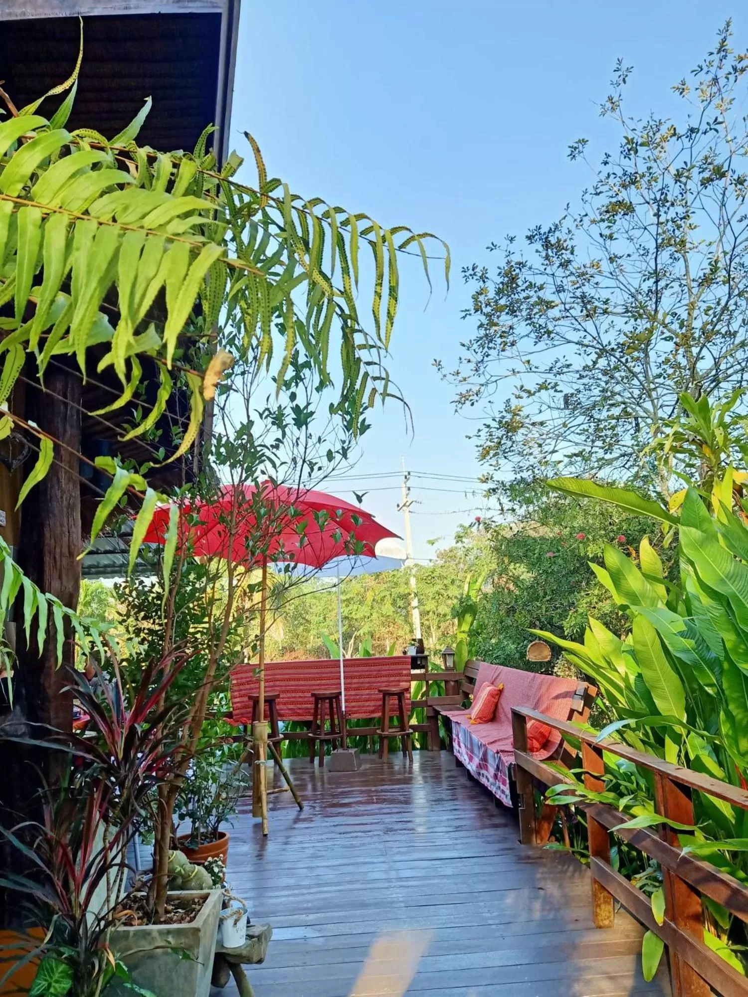 Balcony/Terrace in Pura Vida Pai Resort