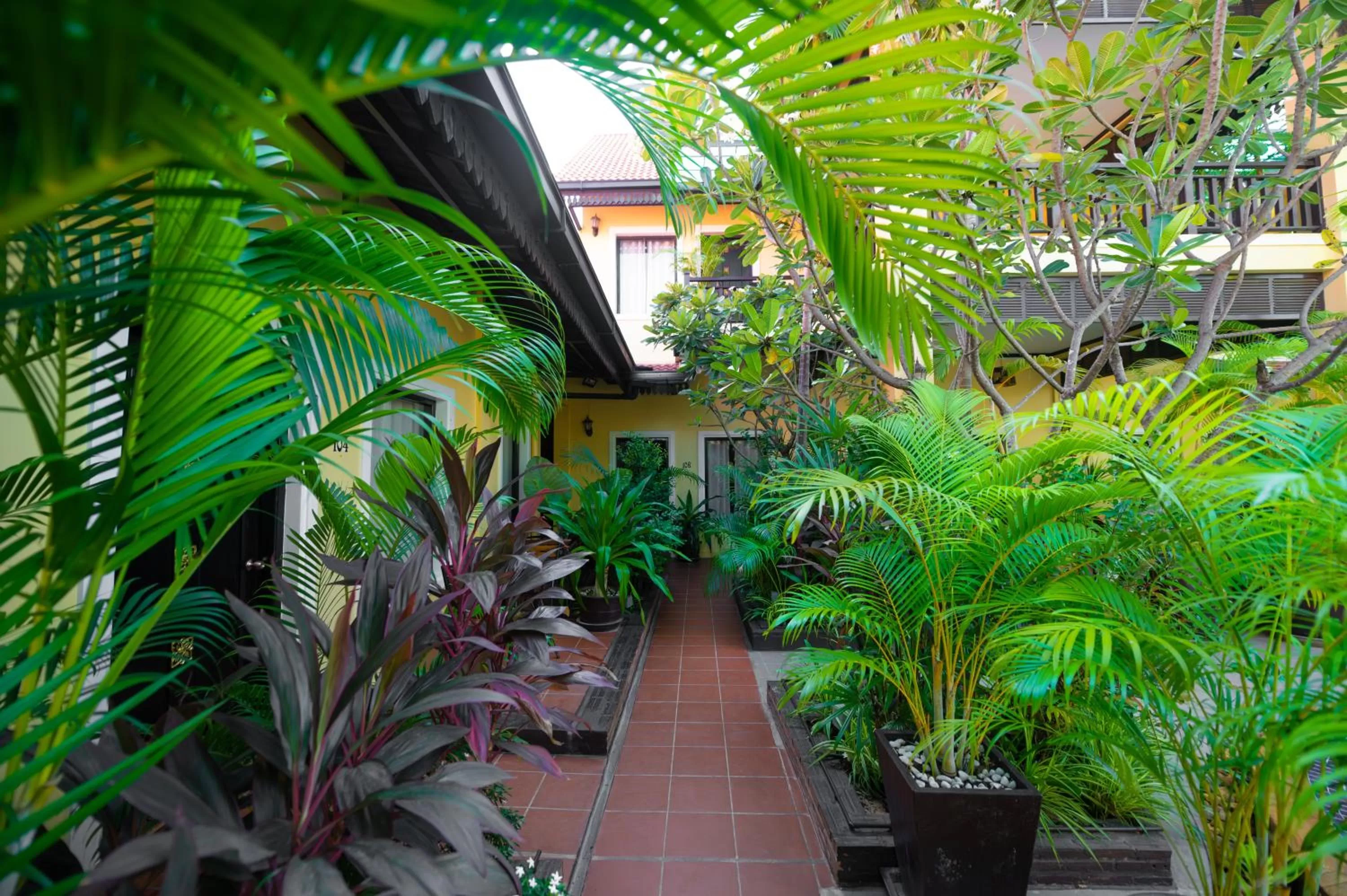 Garden in Sophavady D'Angkor