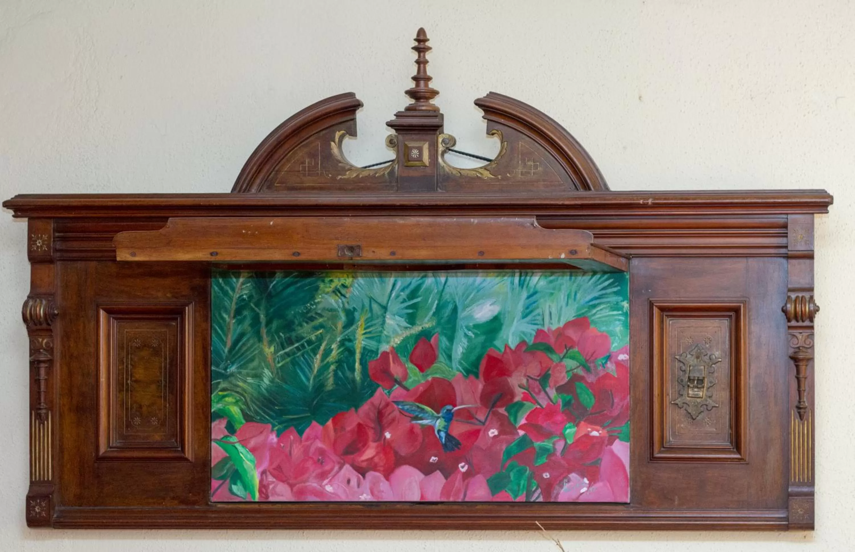 Area and facilities in Hotel Colibri