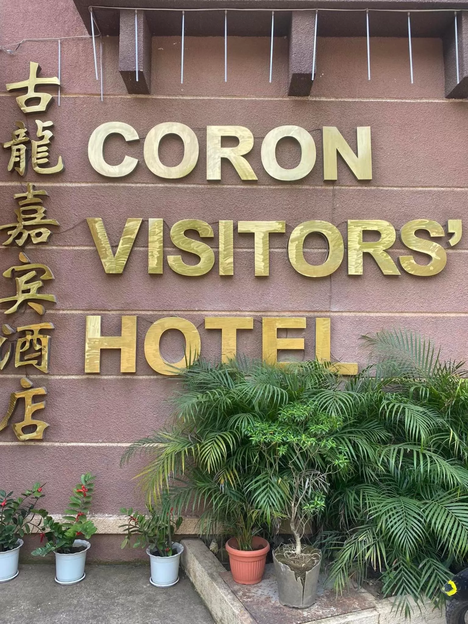Logo/Certificate/Sign in Coron Visitors Hotel