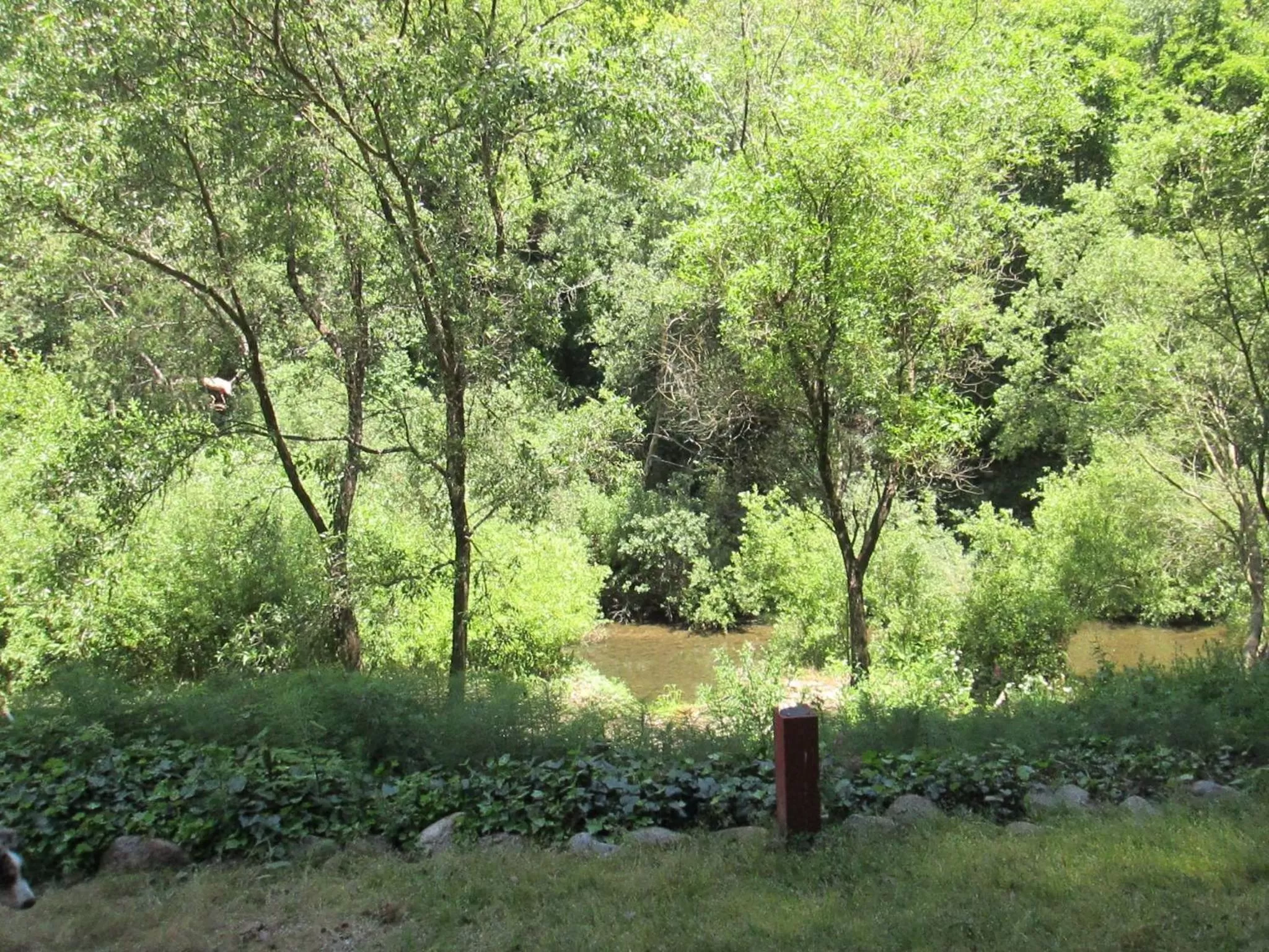 Natural Landscape in Fern River Resort