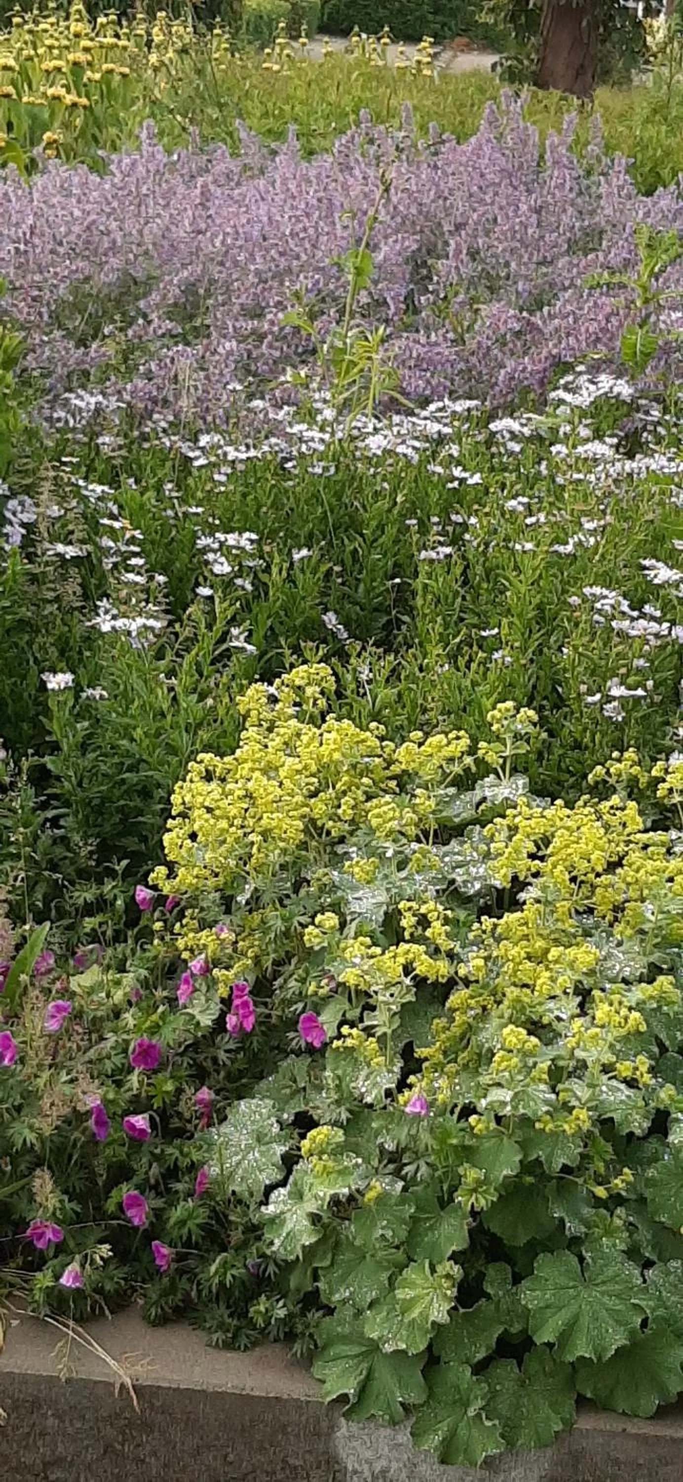 Neighbourhood in Mi BnB Amsterdam