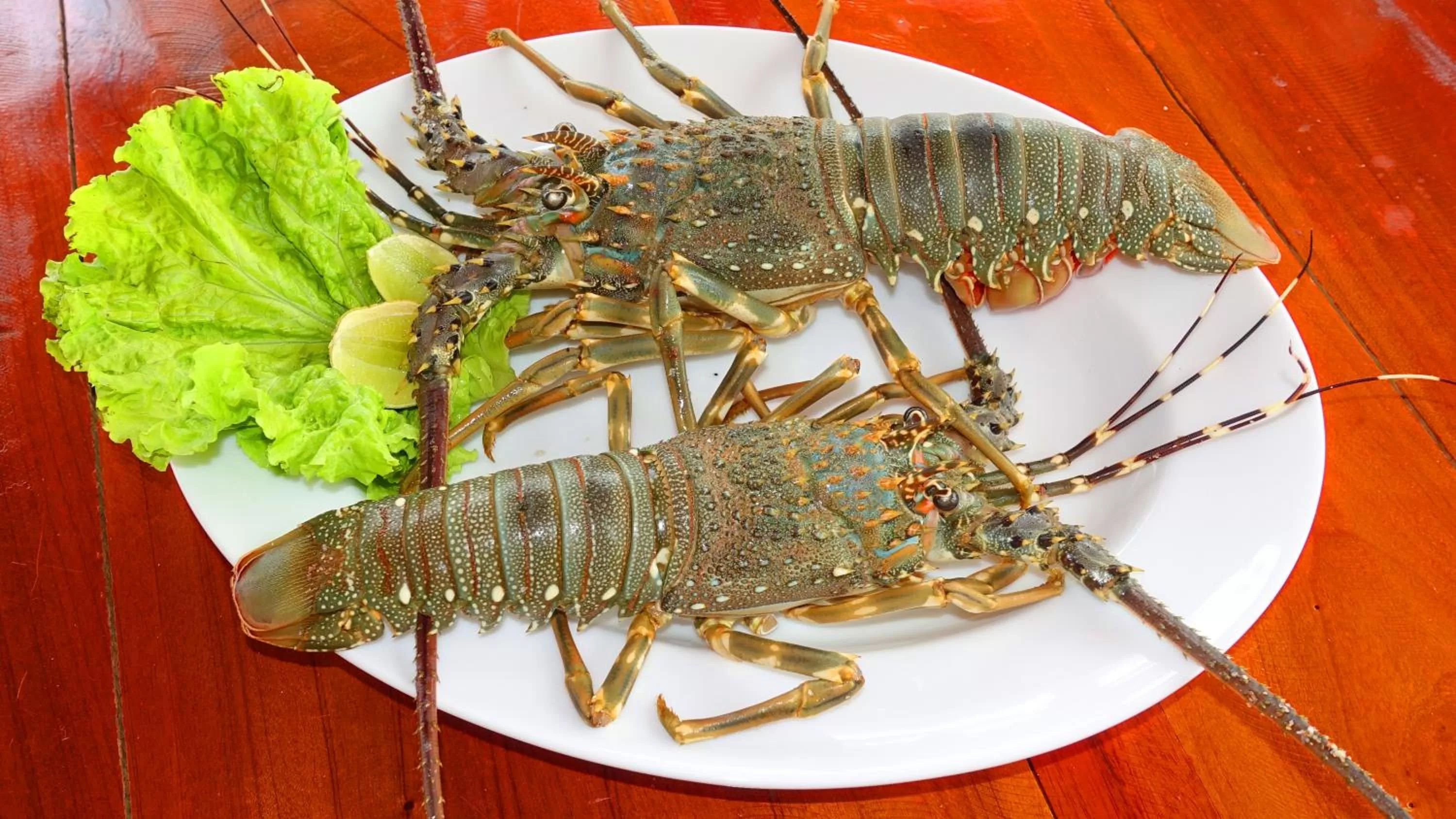 Food and drinks, Other Animals in Regina Beach Bungalow