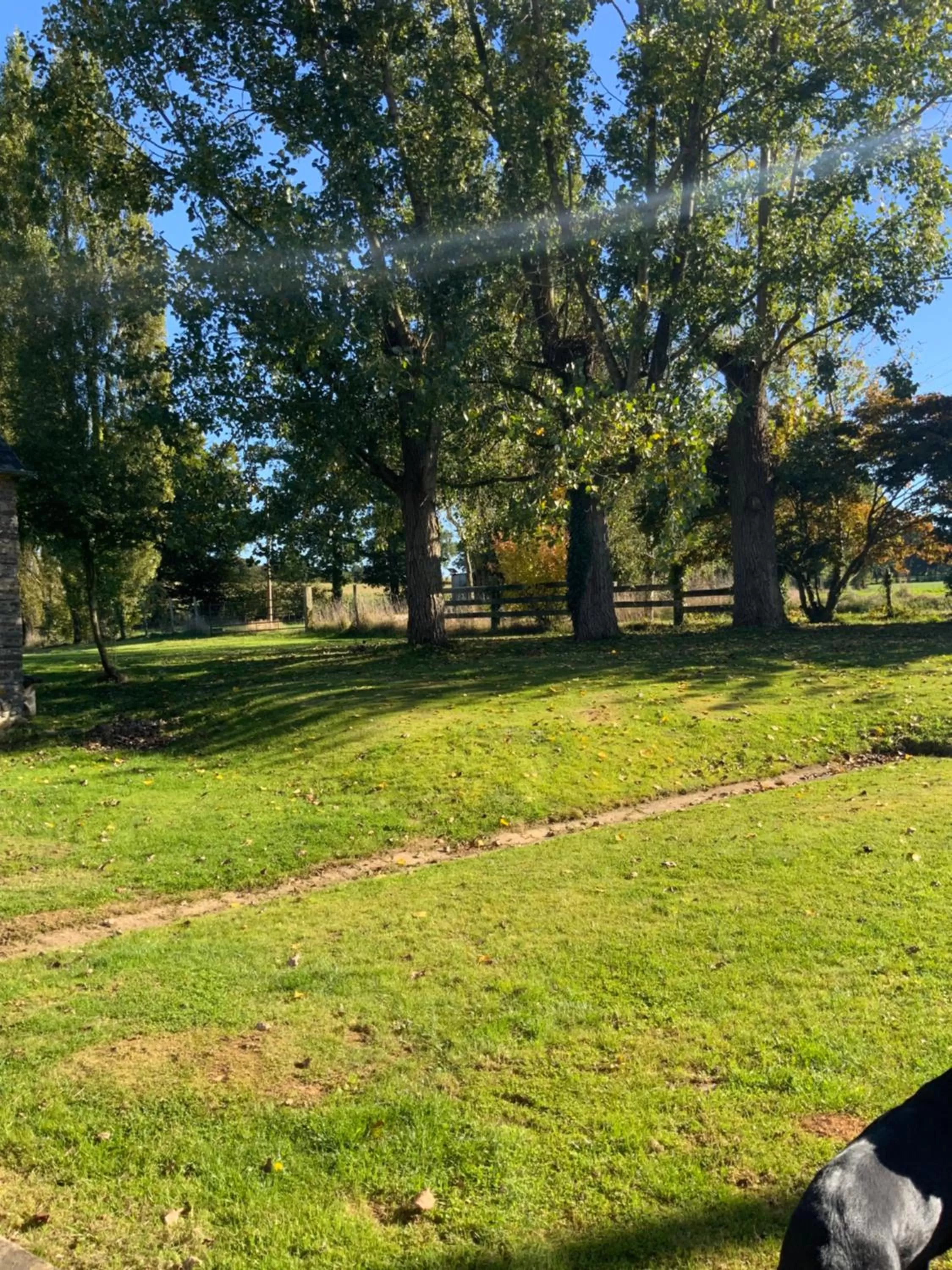 Garden in Welcoming and peaceful bed and breakfast