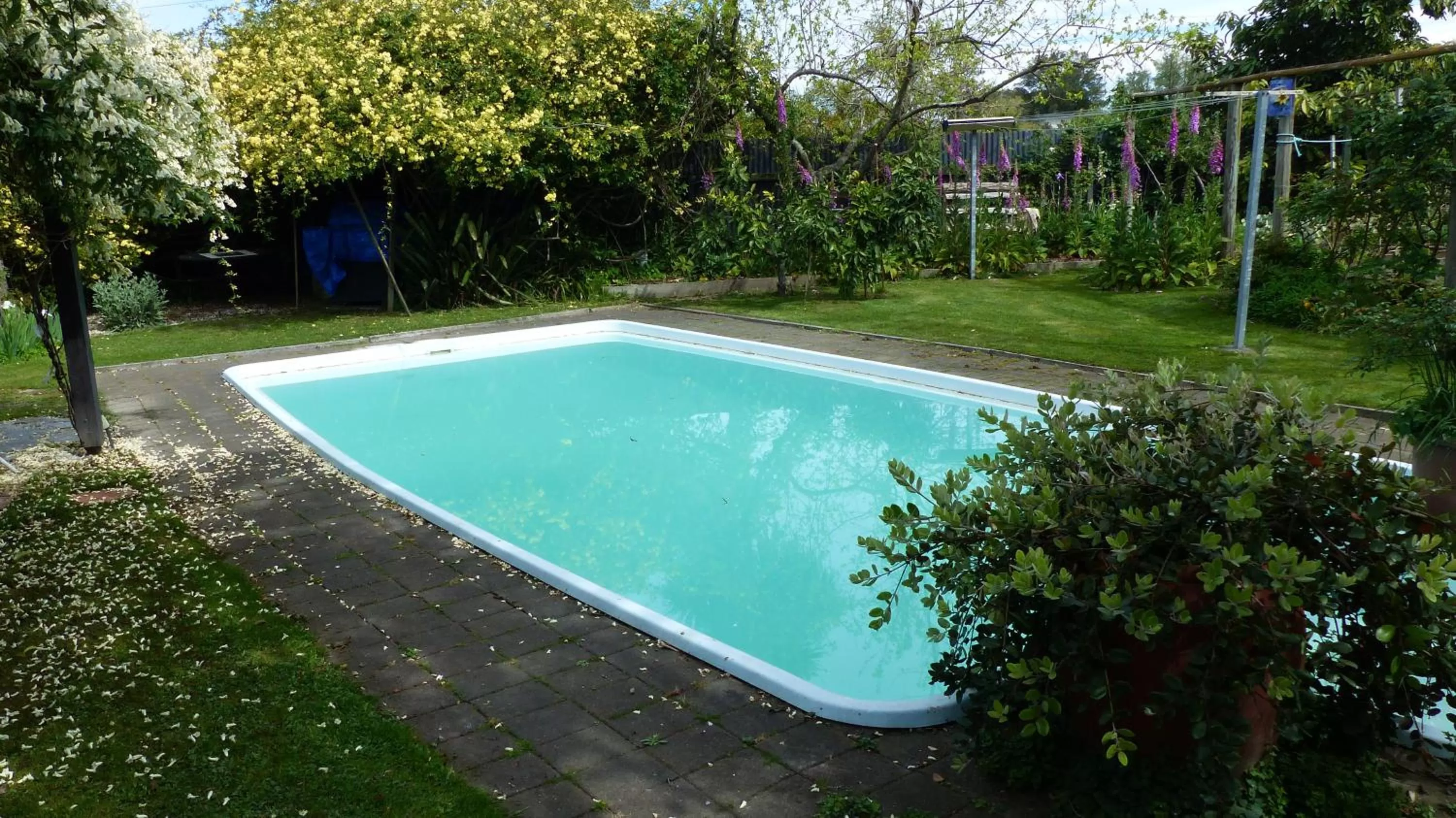 Swimming Pool in Ashcroft Gardens Bed & Breakfast