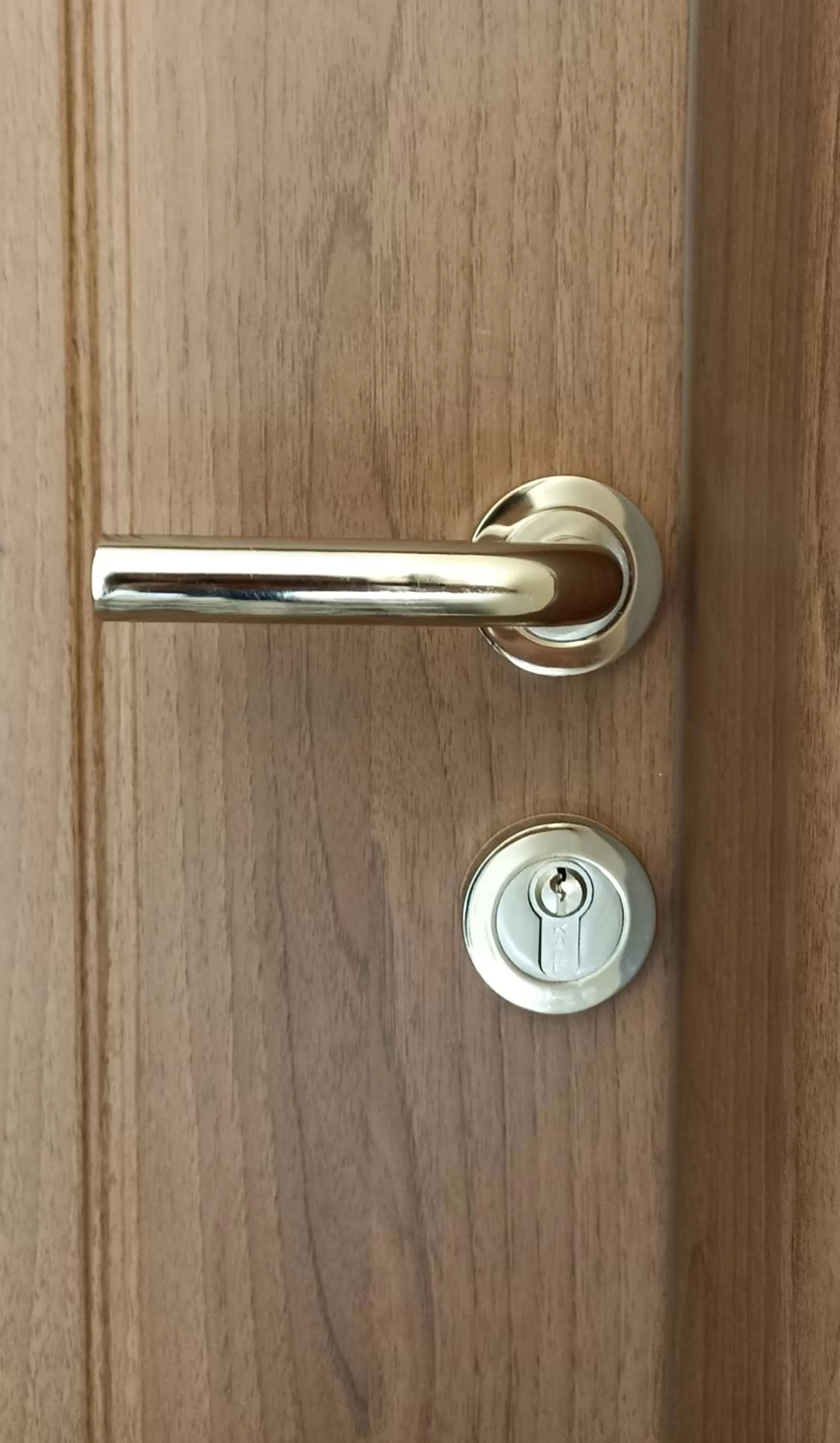 Decorative detail in taxim cool