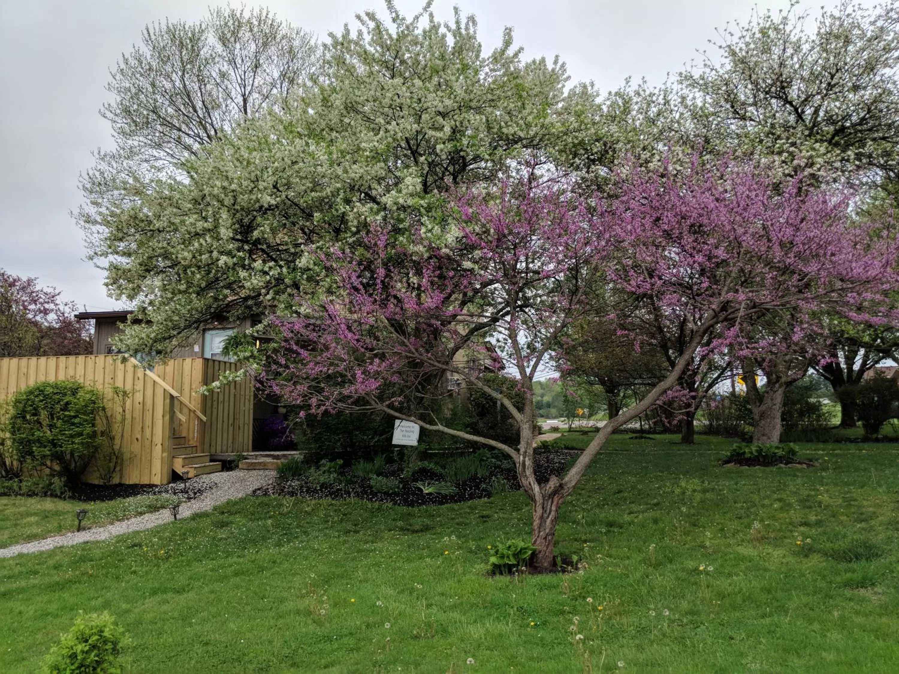 Natural landscape, Garden in Hocking Hills Inn