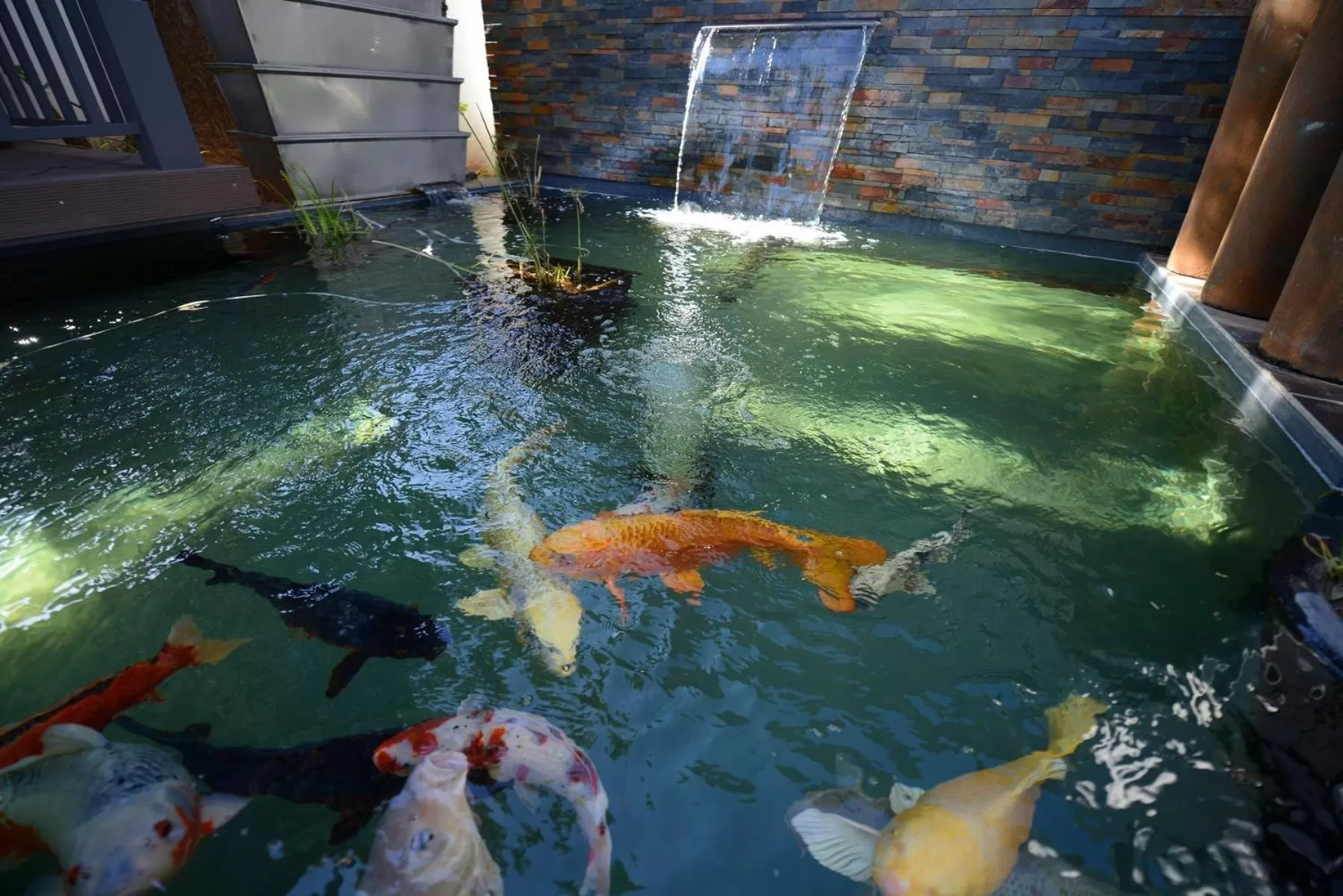 Garden in Milner House Kimberley