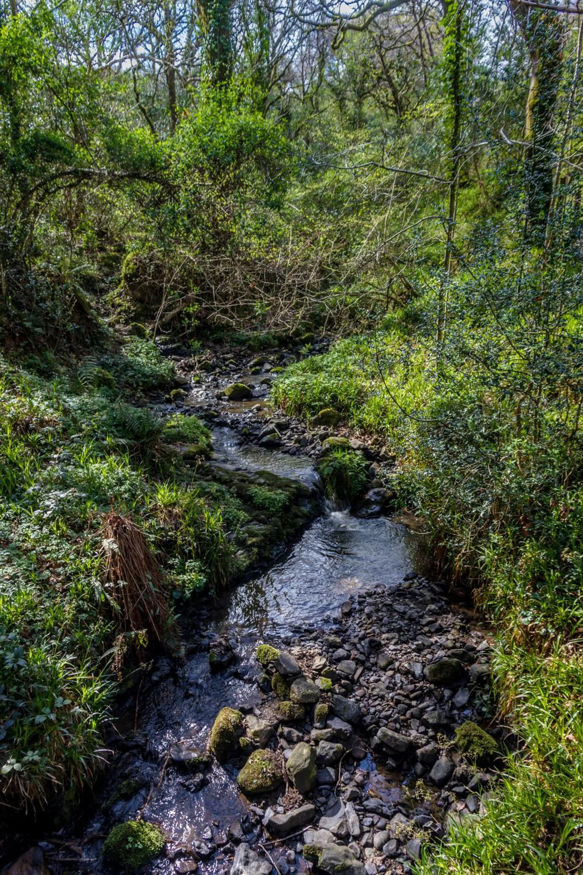Facade/entrance in The Glenview Hotel & Leisure Club