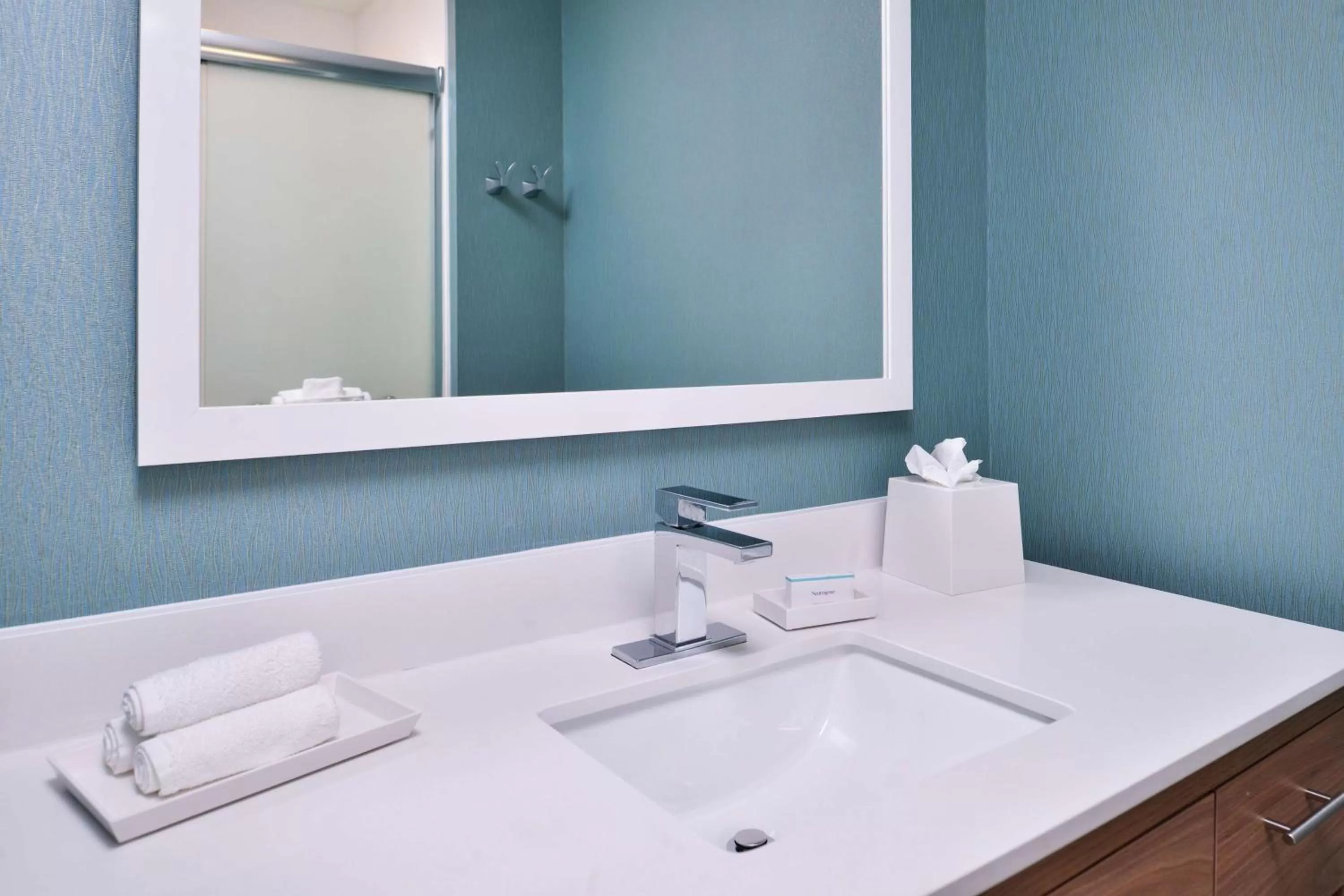 Bathroom in Home2 Suites By Hilton Tampa Downtown Channel District