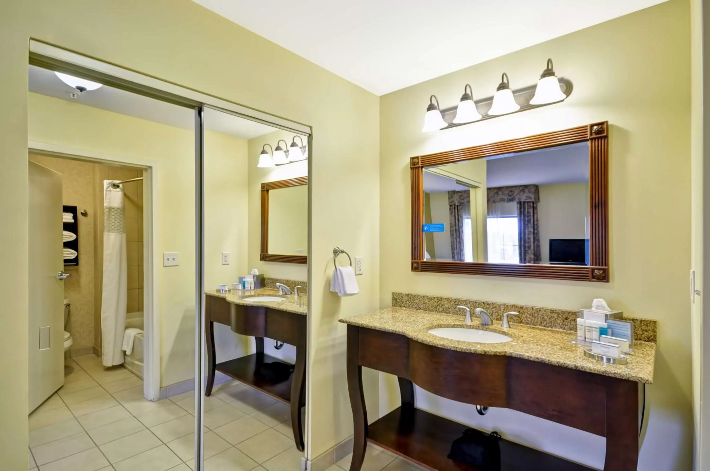 Bathroom in Hampton Inn & Suites North Charleston-University Boulevard
