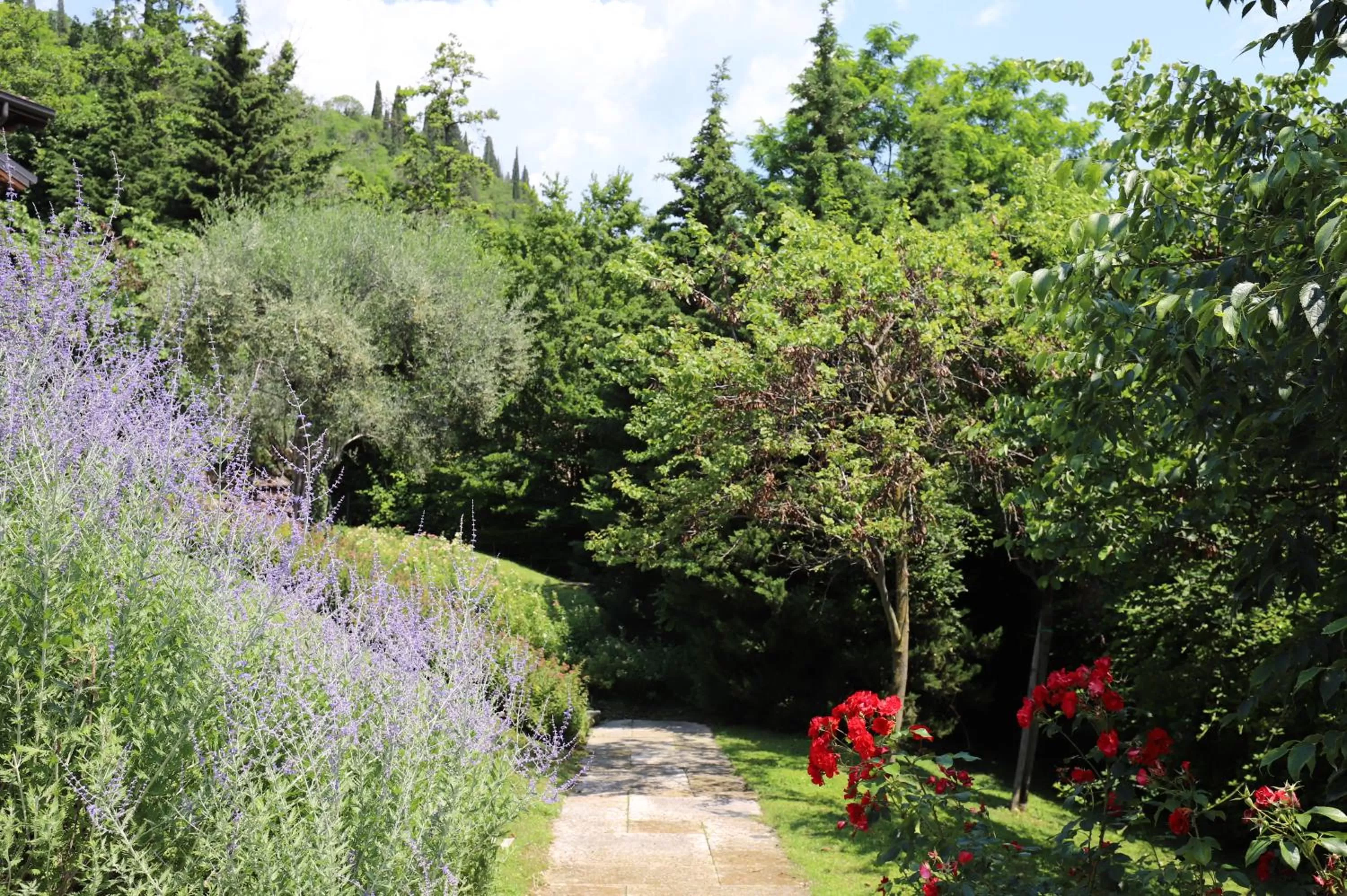 Garden in Apartments Golf Bogliaco