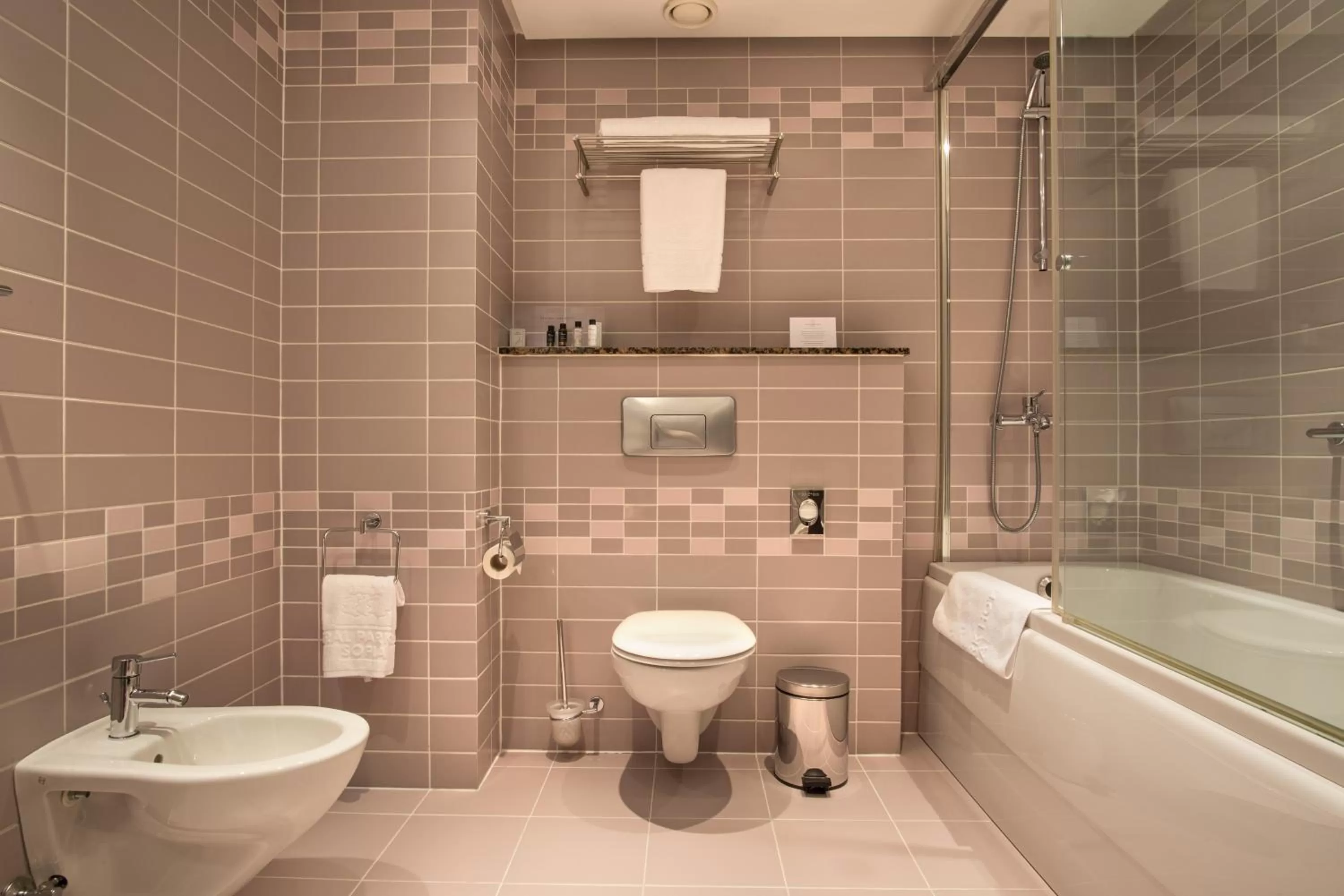 Shower in Rosslyn Central Park Hotel Sofia