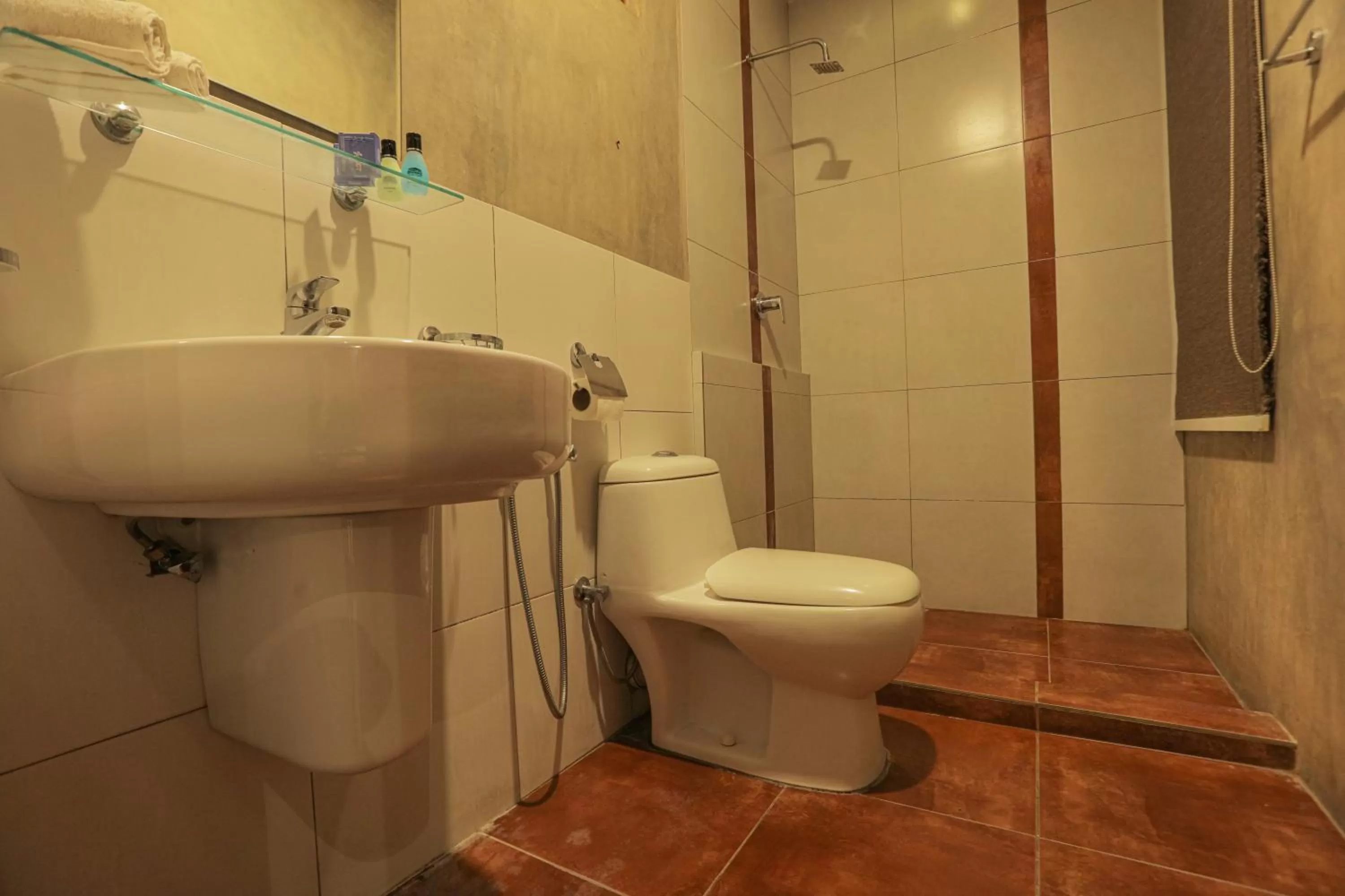 Toilet, Bathroom in Summer Side