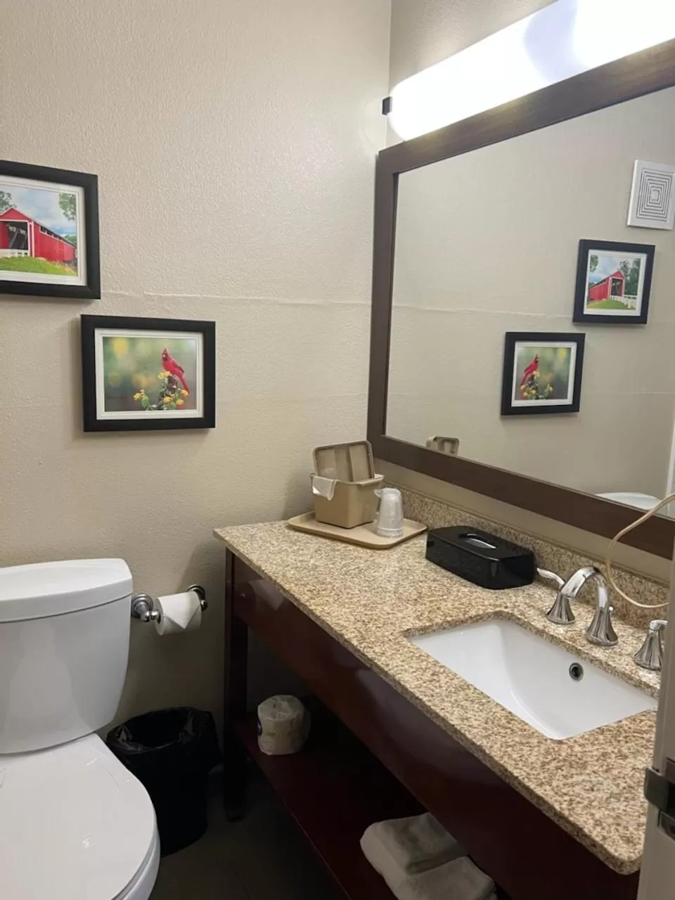 Bathroom in Comfort Inn Near Kokomo Speedway