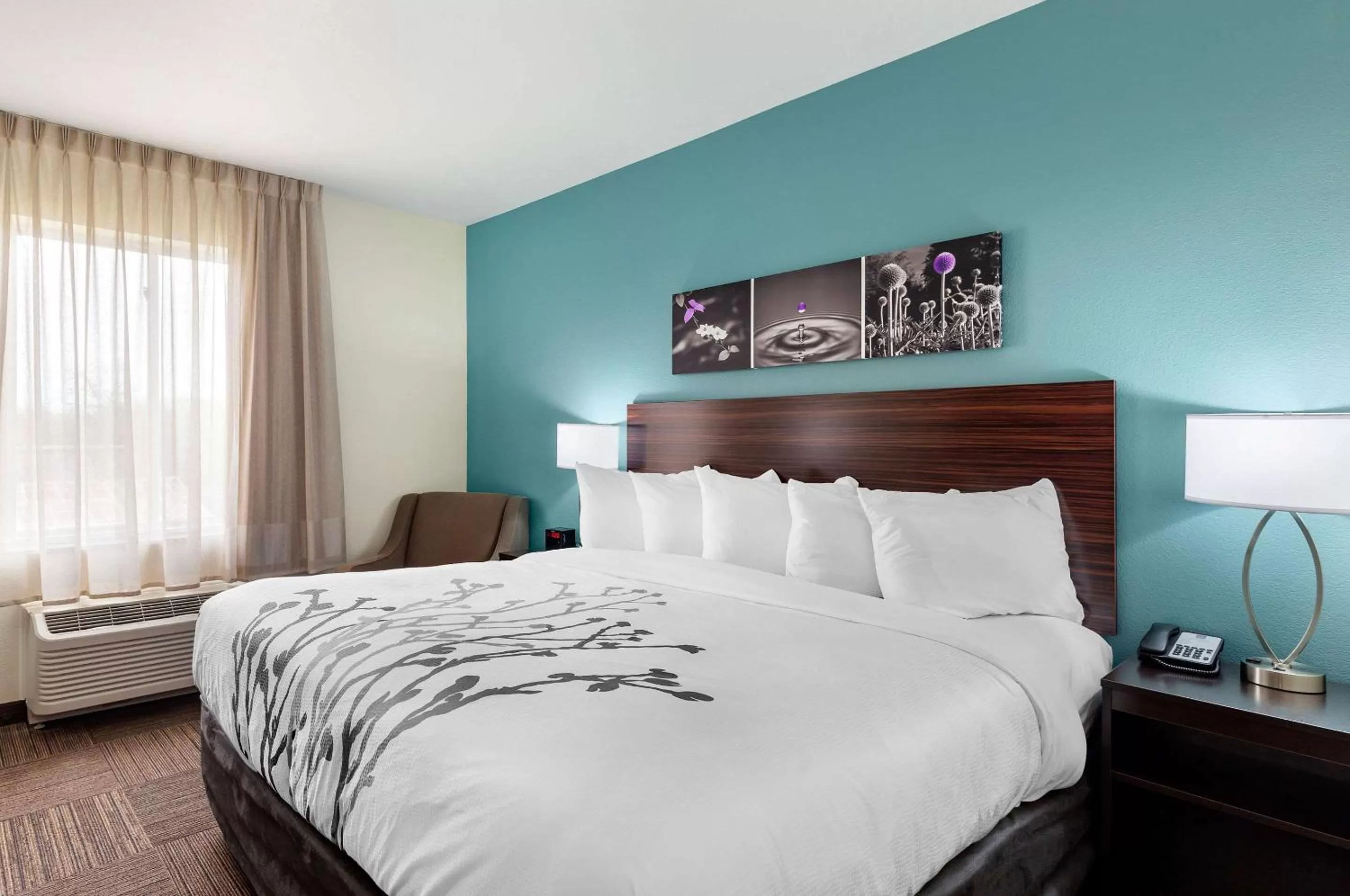 Photo of the whole room, Bed in Sleep Inn Lancaster Dallas South