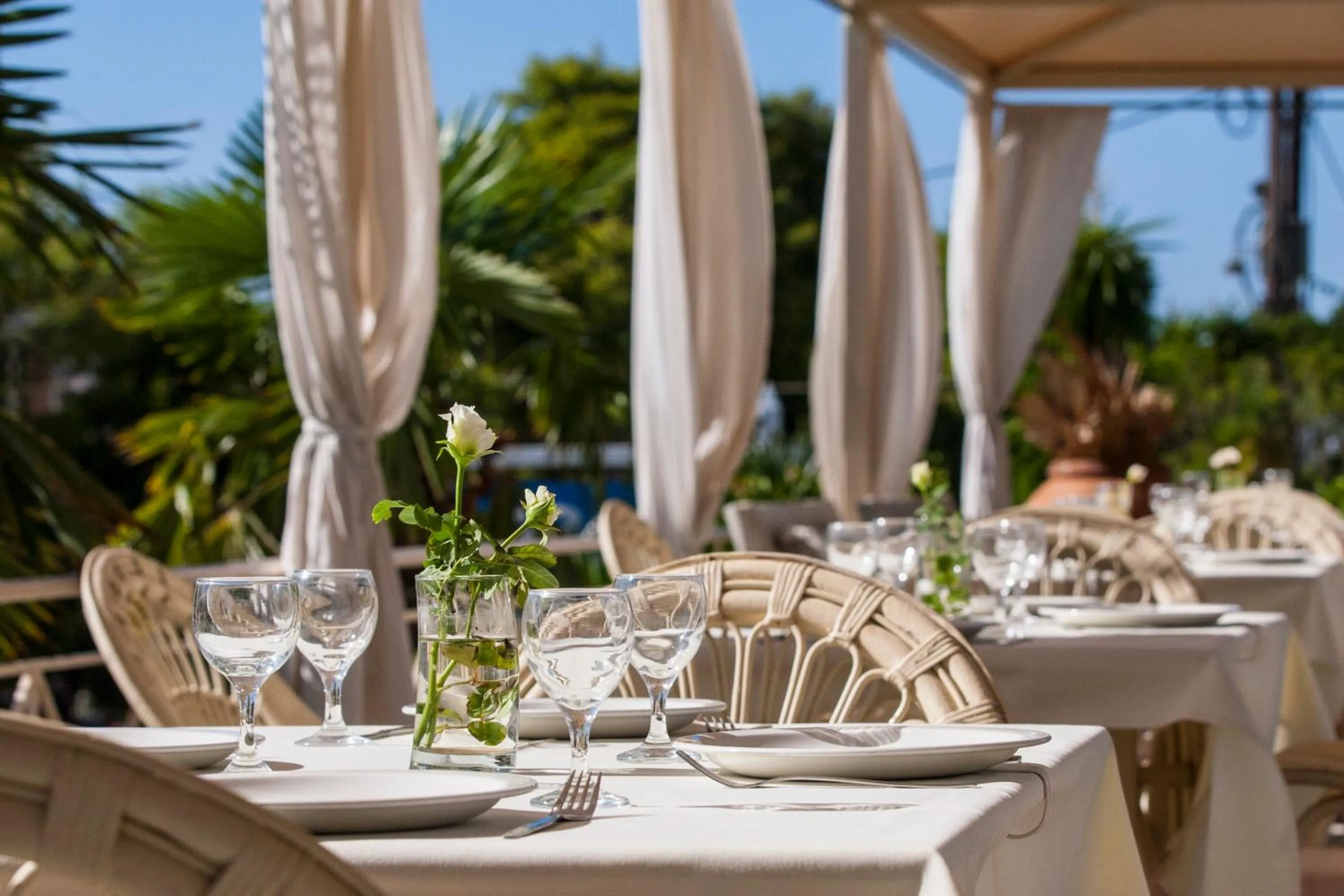 Restaurant/places to eat in Princess Hotel