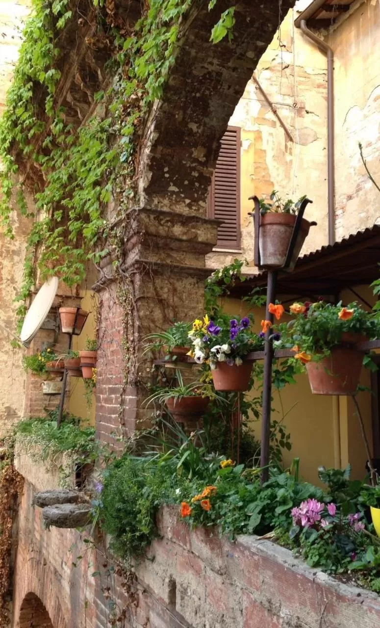 Balcony/Terrace in Hotel Umbria