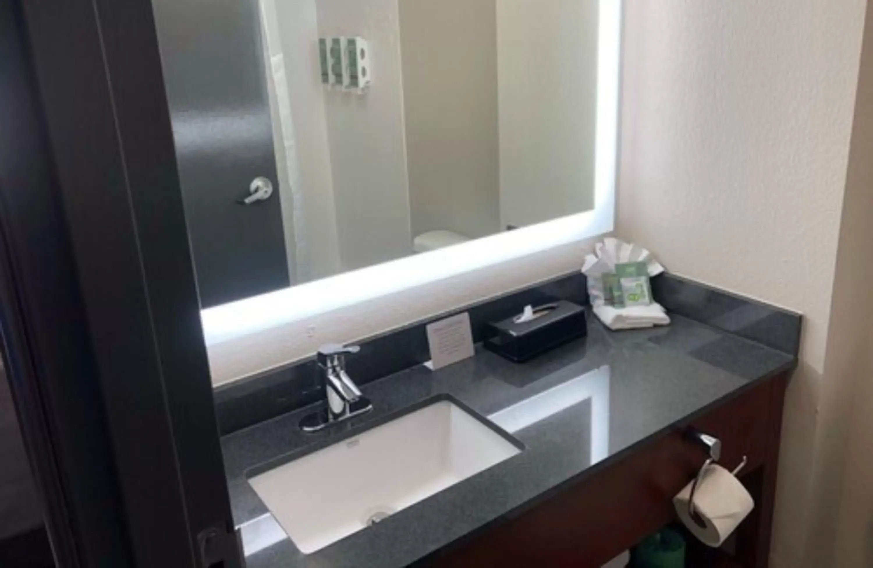 King Room with Mobility Accessible Roll-In Shower in Best Western Lexington Inn King Room with Mobility Accessible Roll-In Shower in Best Western Lexington Inn