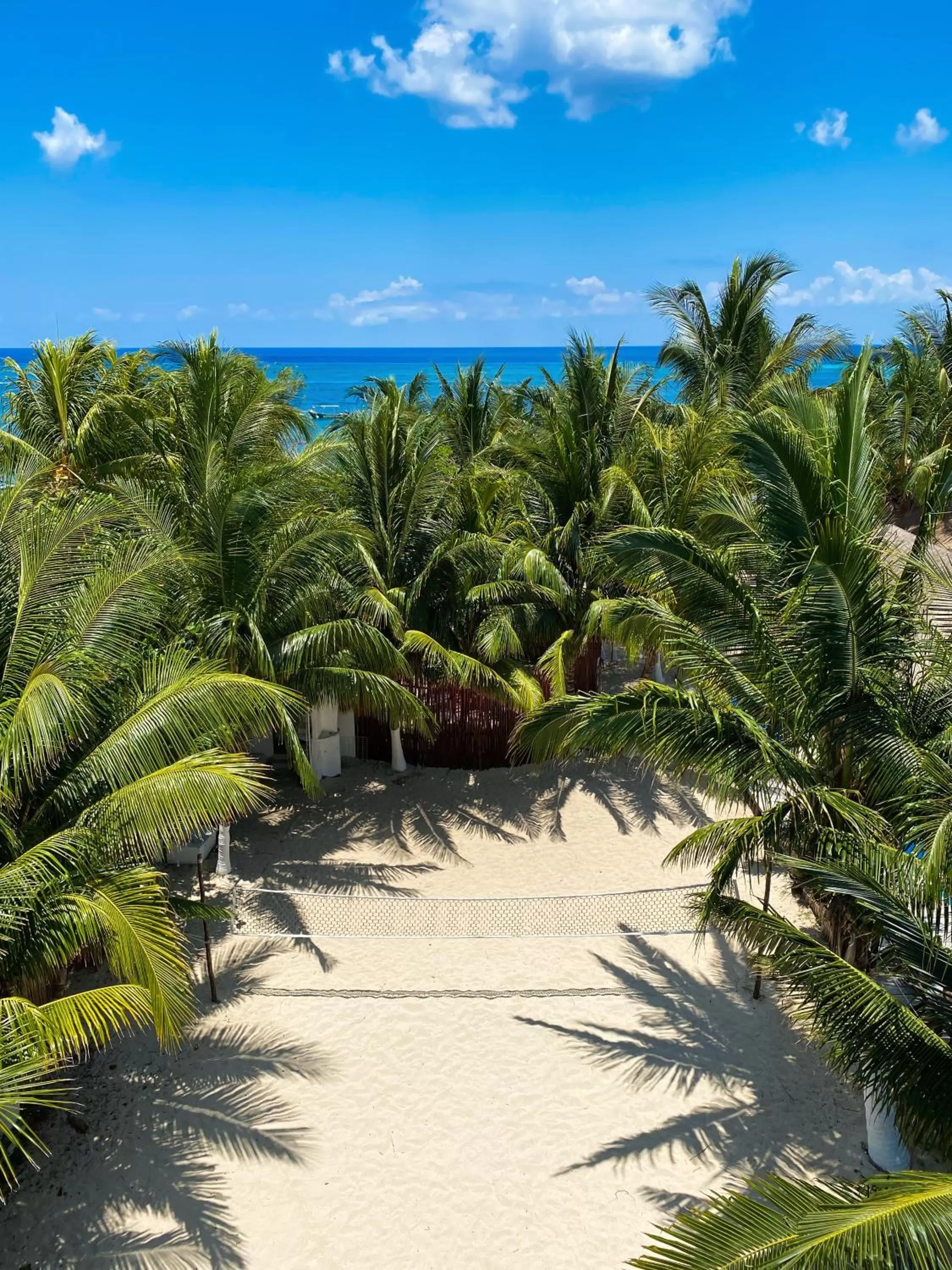 Activities in Maia Suites Cozumel