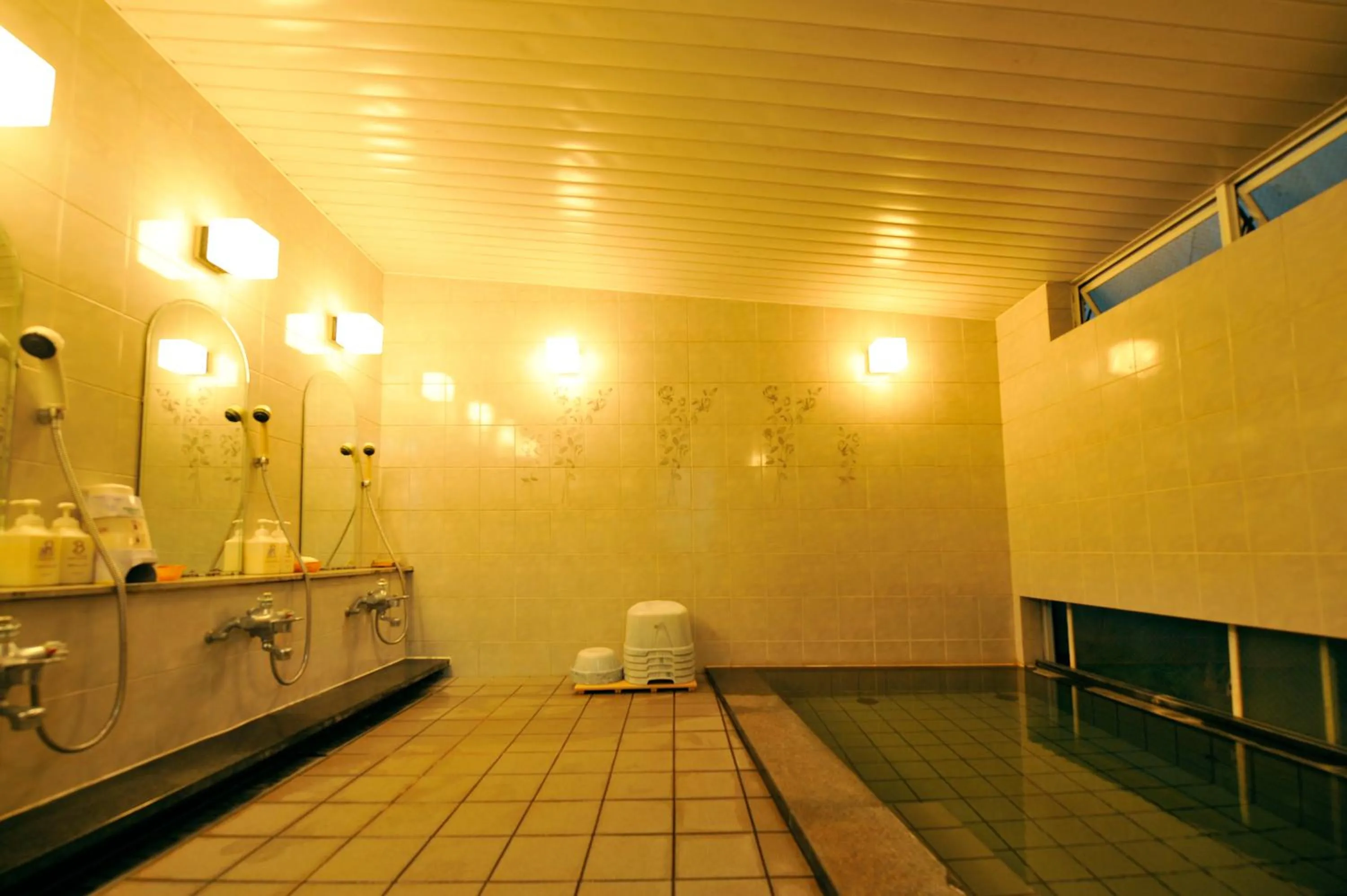 Spa and wellness centre/facilities in Nakayasu Ryokan