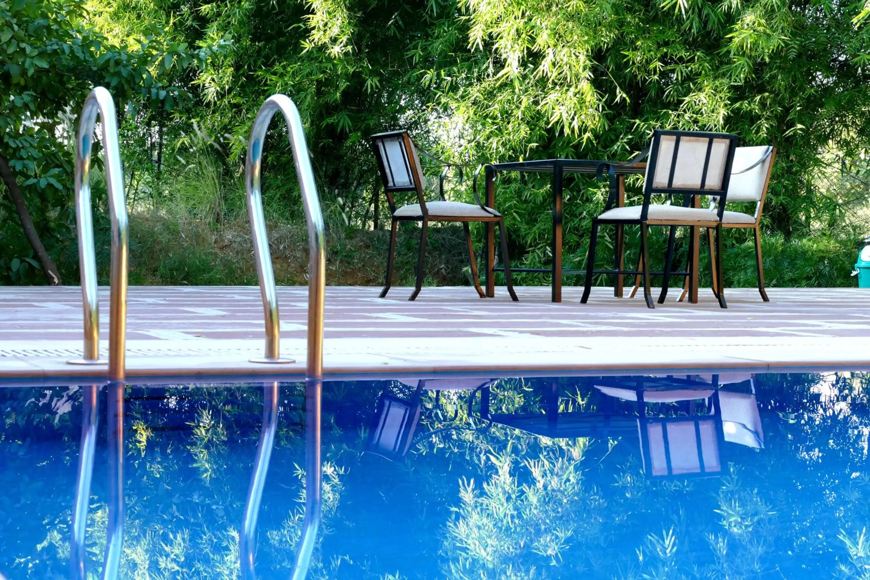 Swimming pool in Madho Bagh