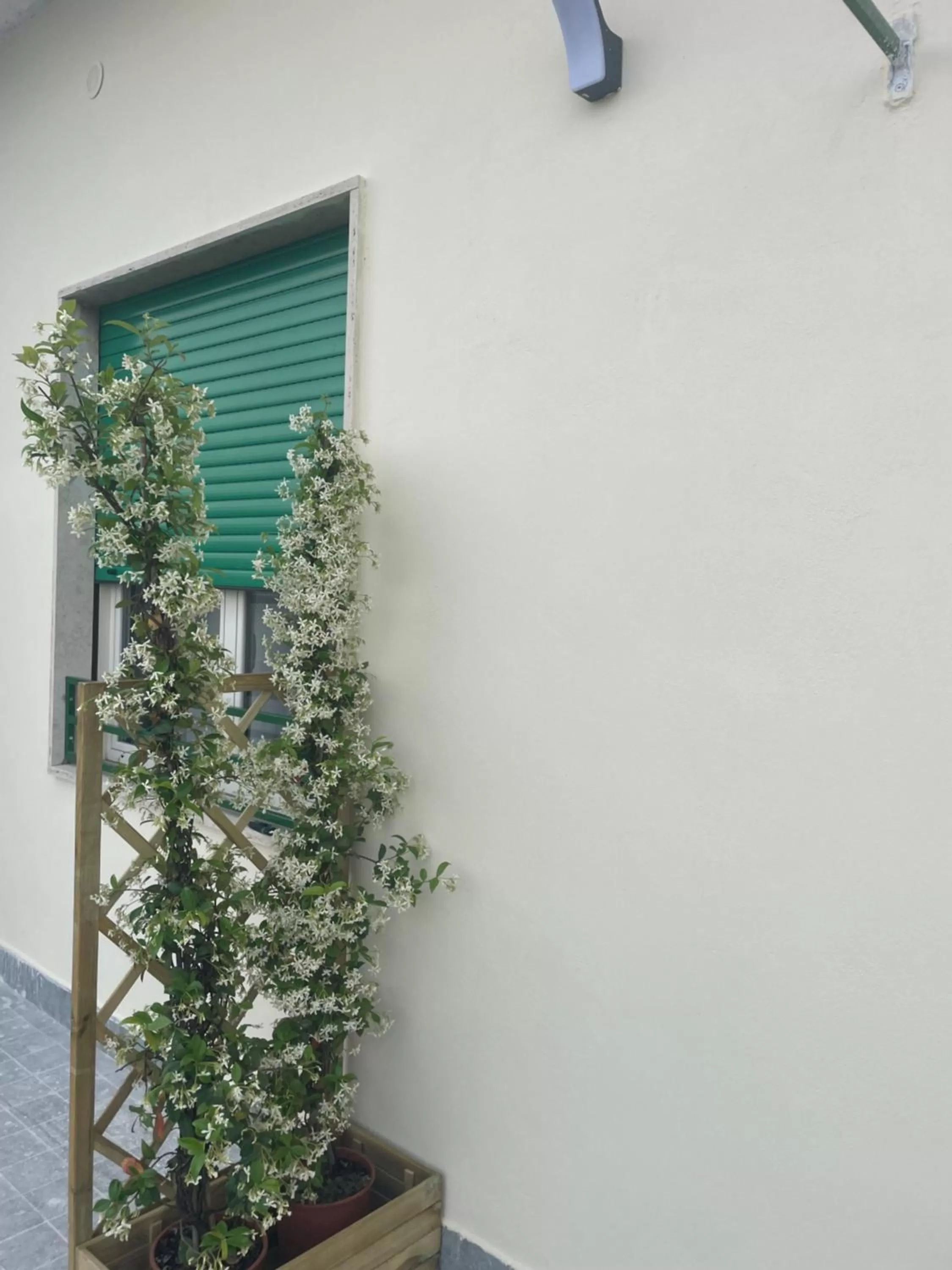 Property building in BeB Homa