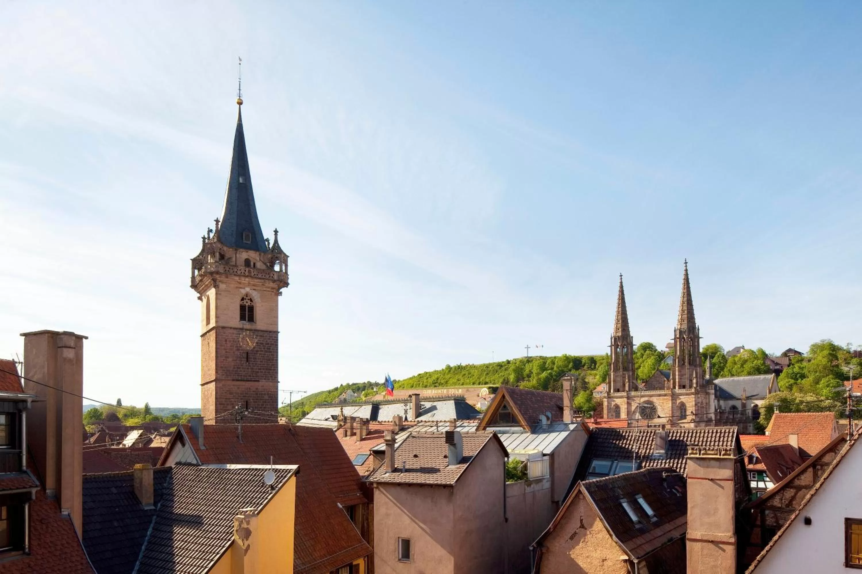 Area and facilities in Hotel Le Colombier