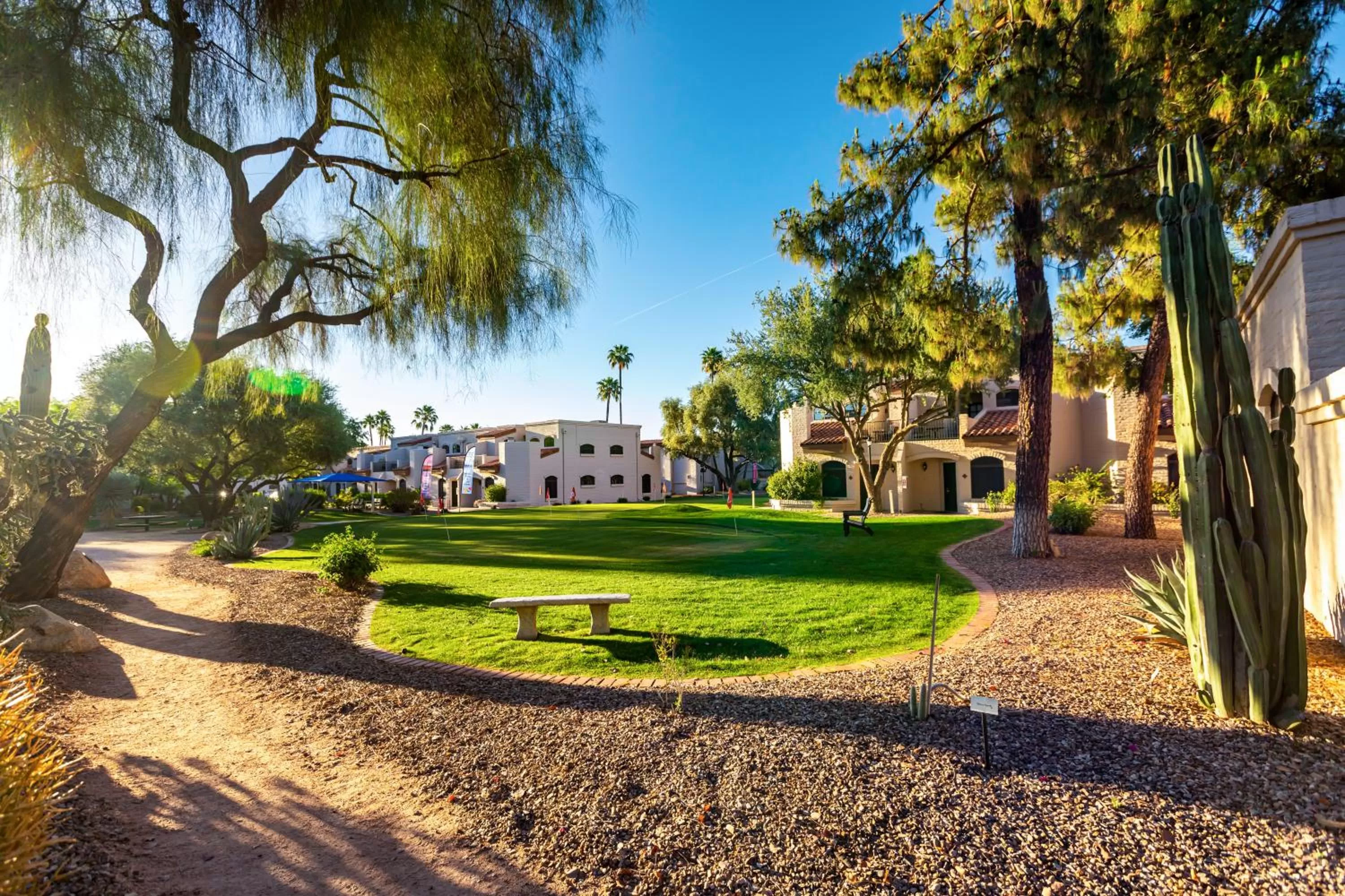 Natural landscape in Scottsdale Camelback Resort