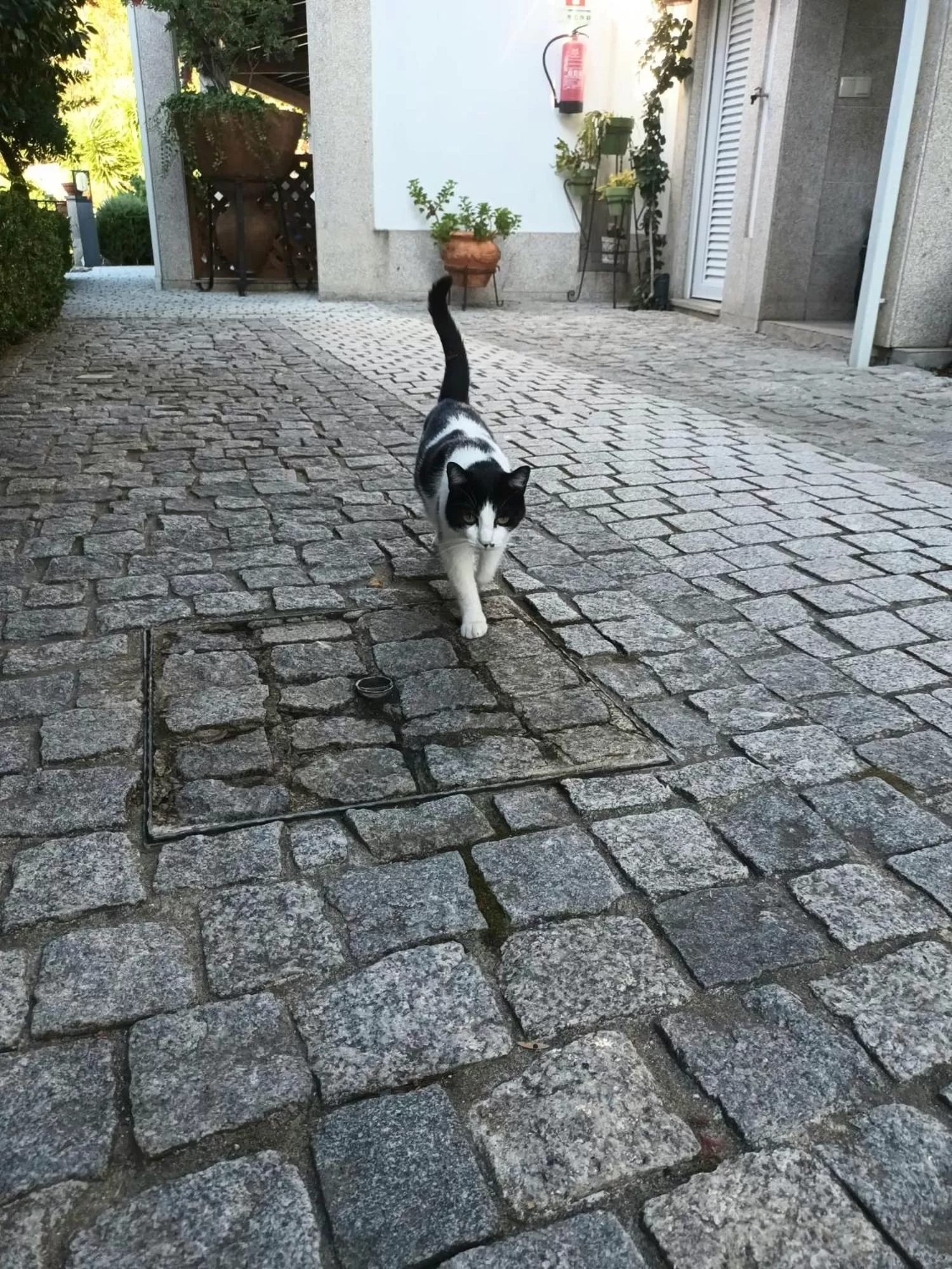 Casa de São Domingos