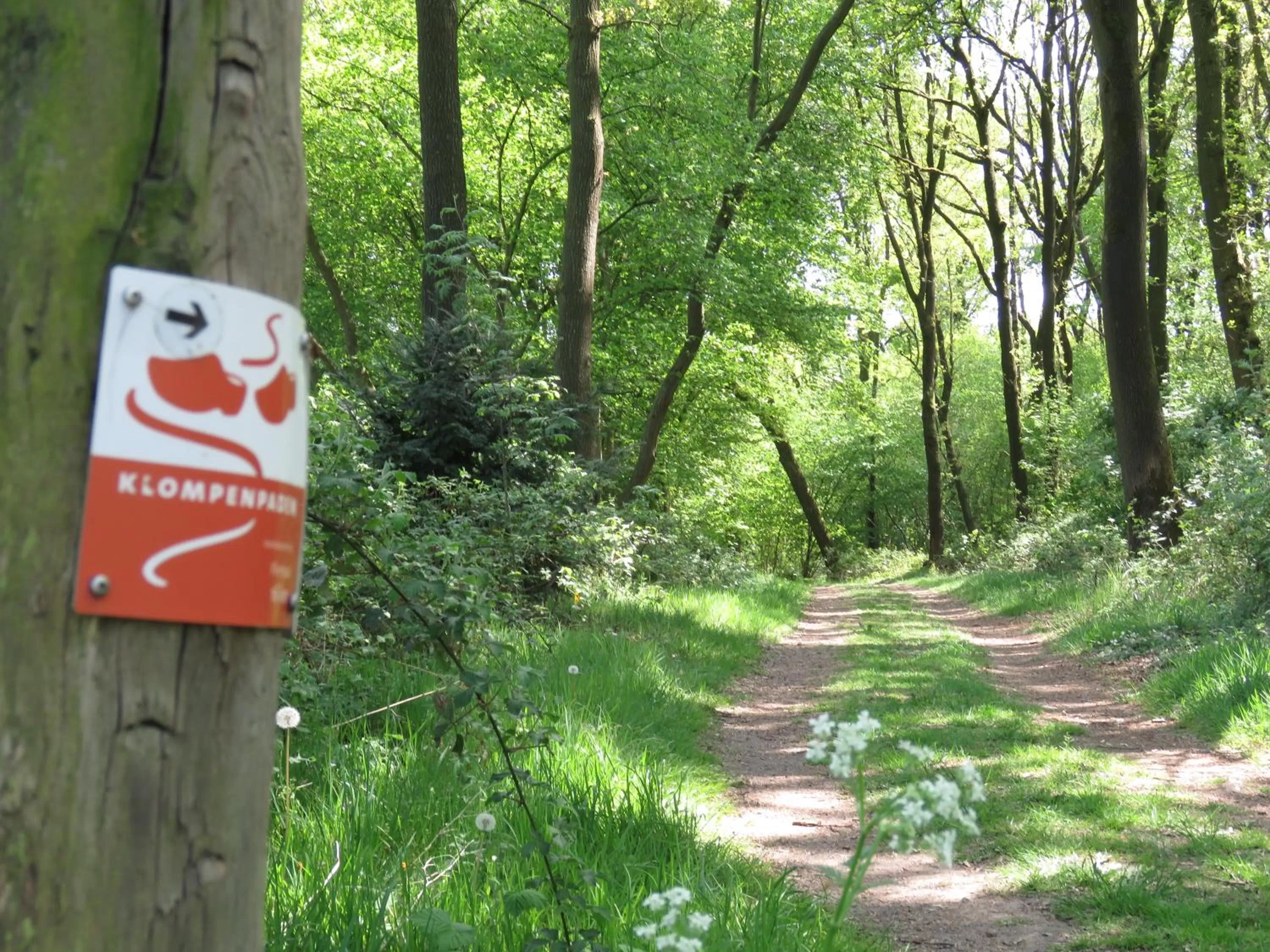 Neighbourhood in De Aze