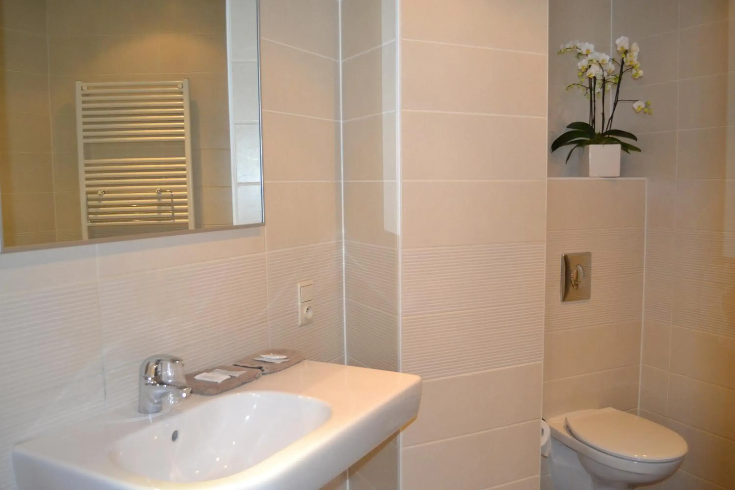 Double Room in Hotel Frederiksborg Double Room in Hotel Frederiksborg