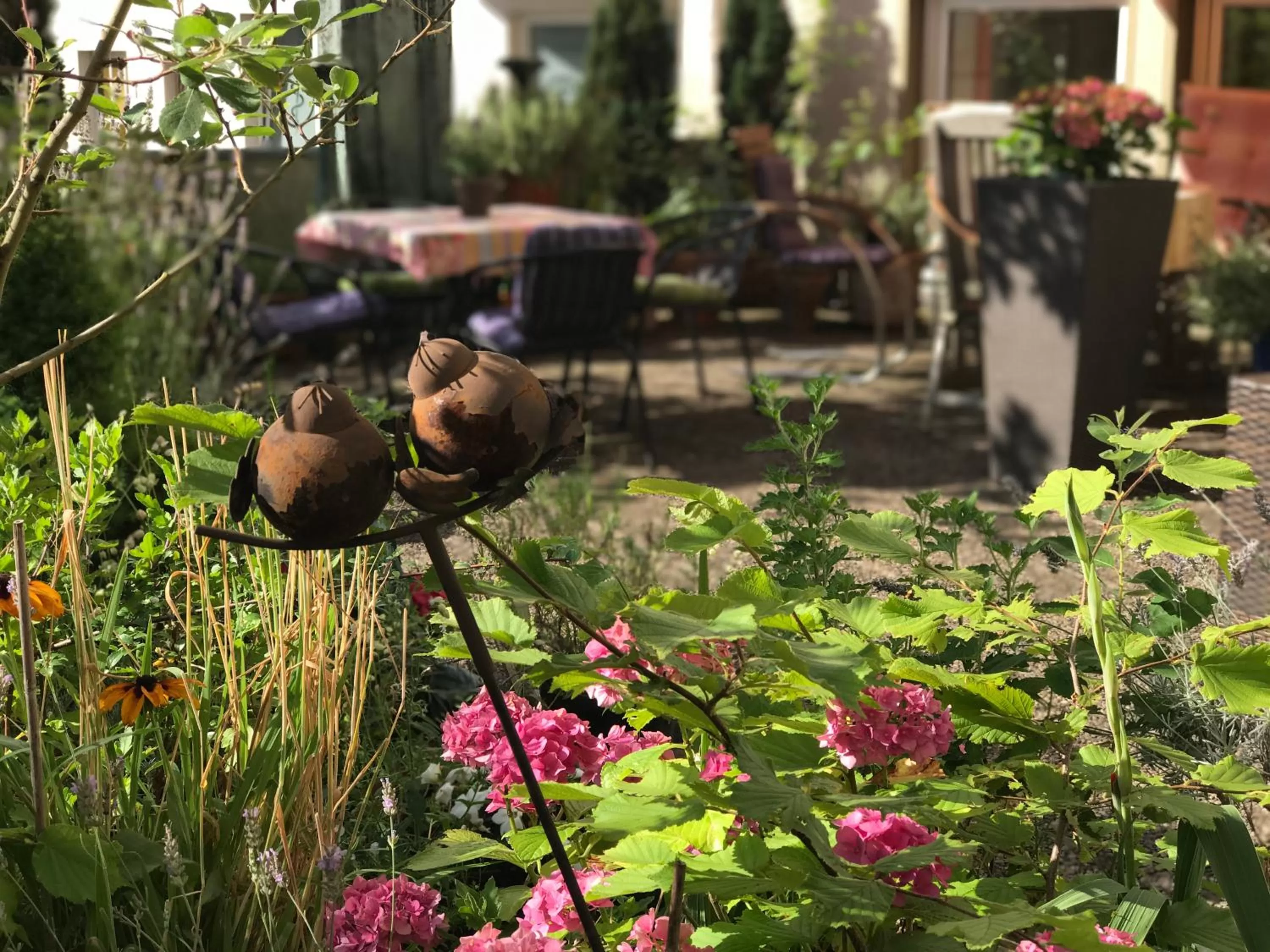 Garden view in Hotel Cascade Superior