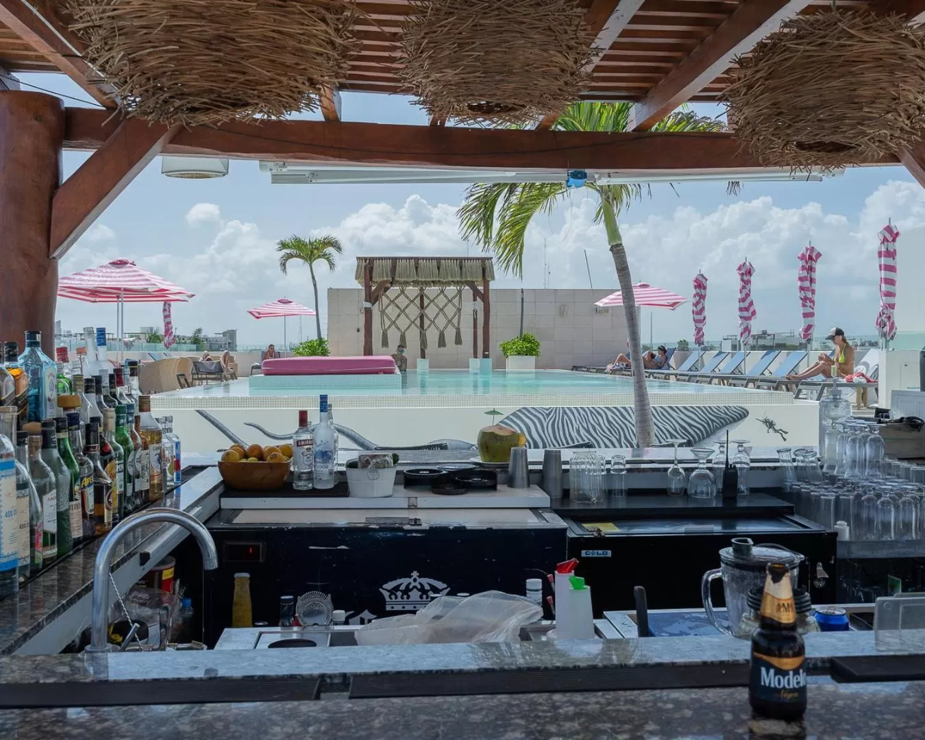 Lounge or bar in Hotel The Palm