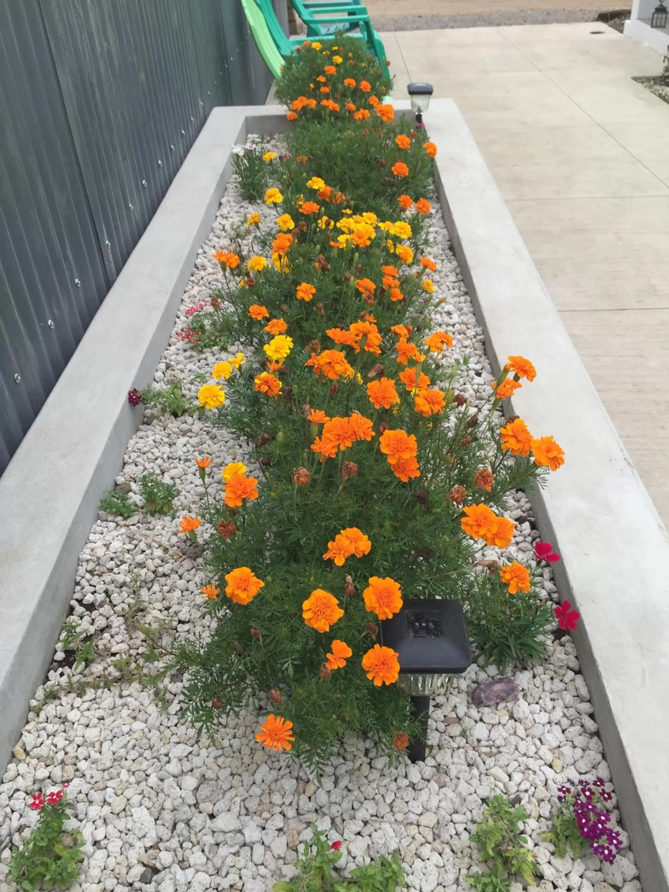 Decorative detail in Airport X Managua