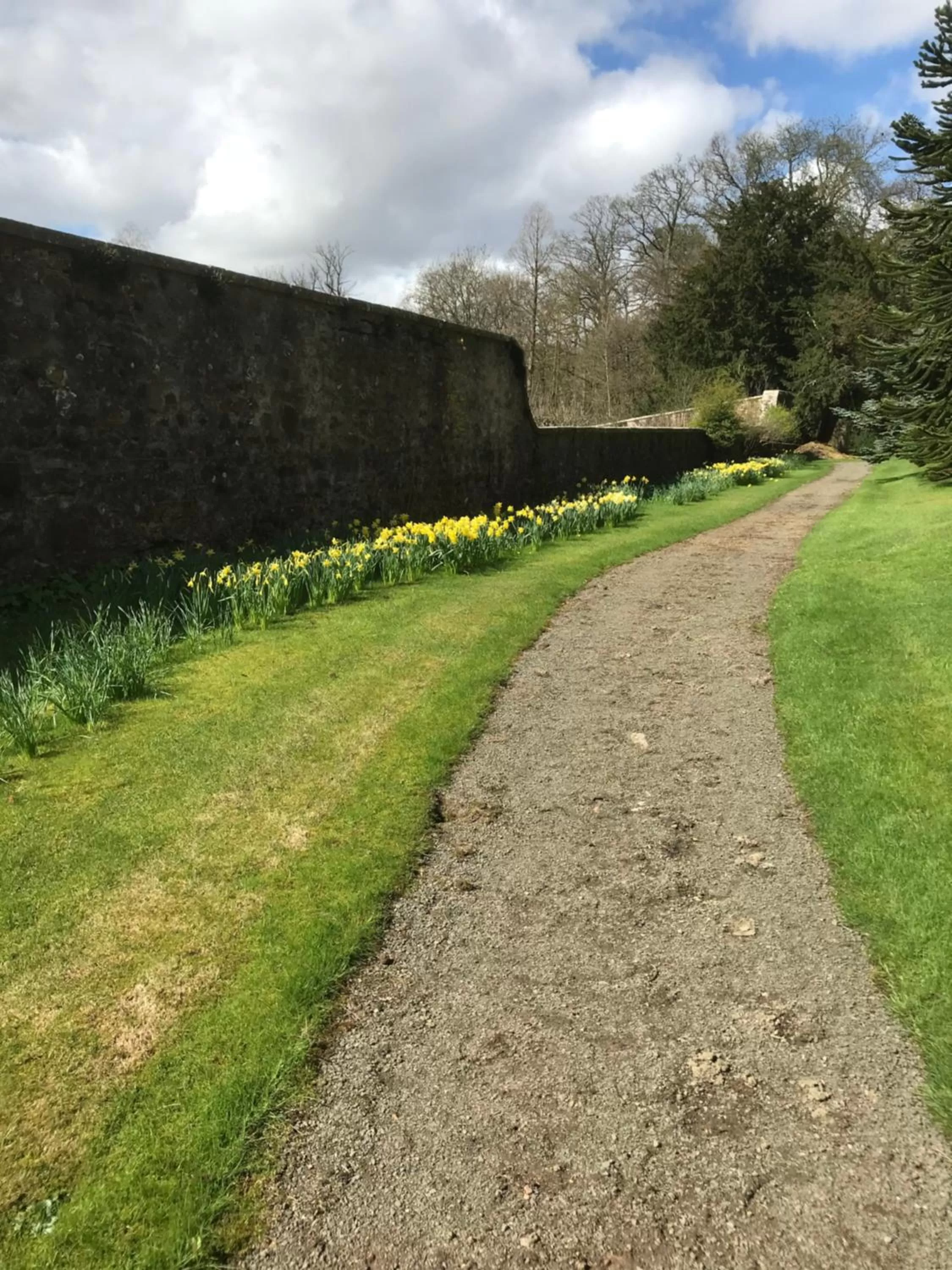 Garden in West Plean House