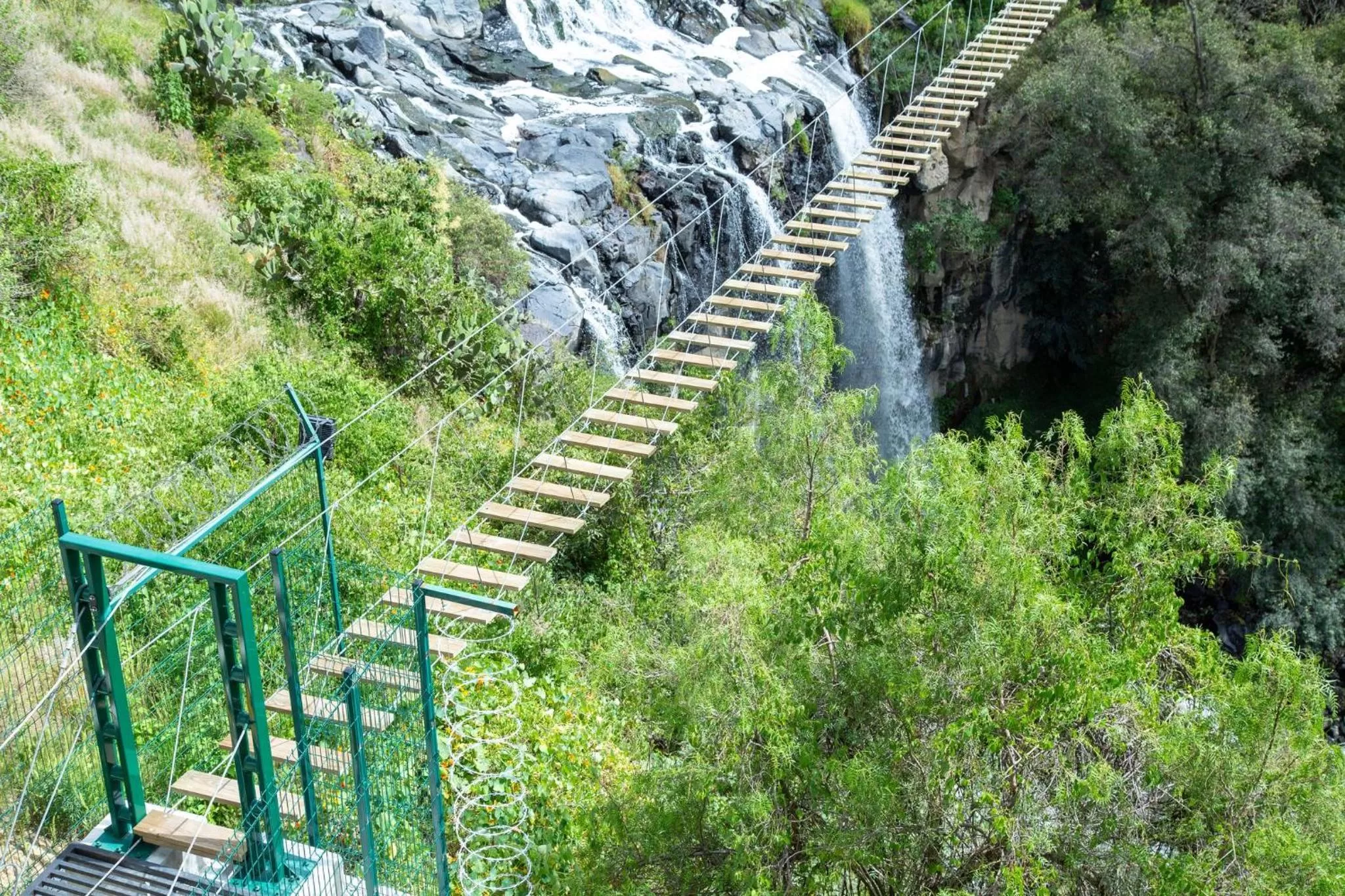 Fitness centre/facilities in Holiday Inn Tlaxcala by IHG