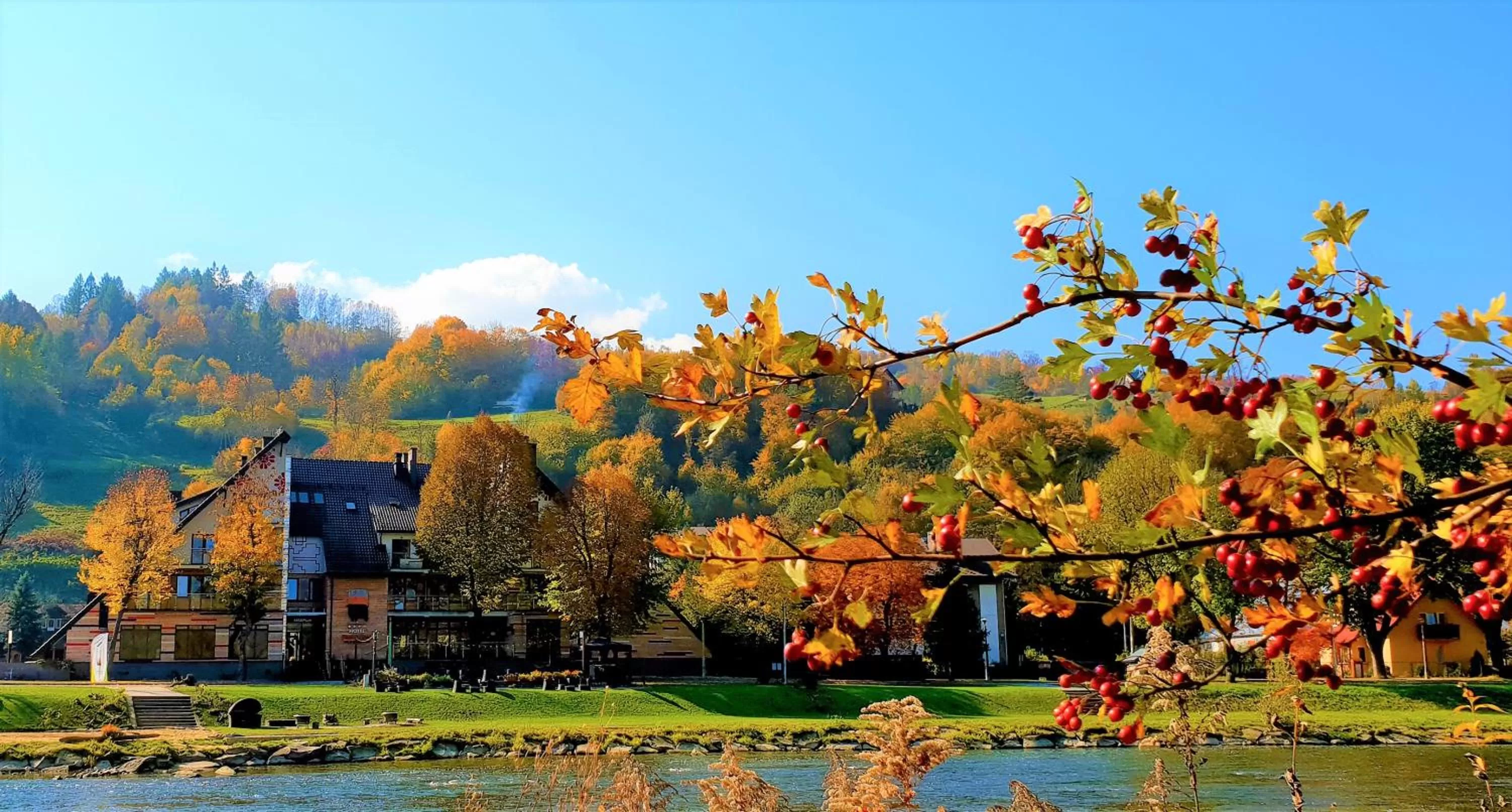 Natural landscape in Hotel Piwniczna SPA&Conference
